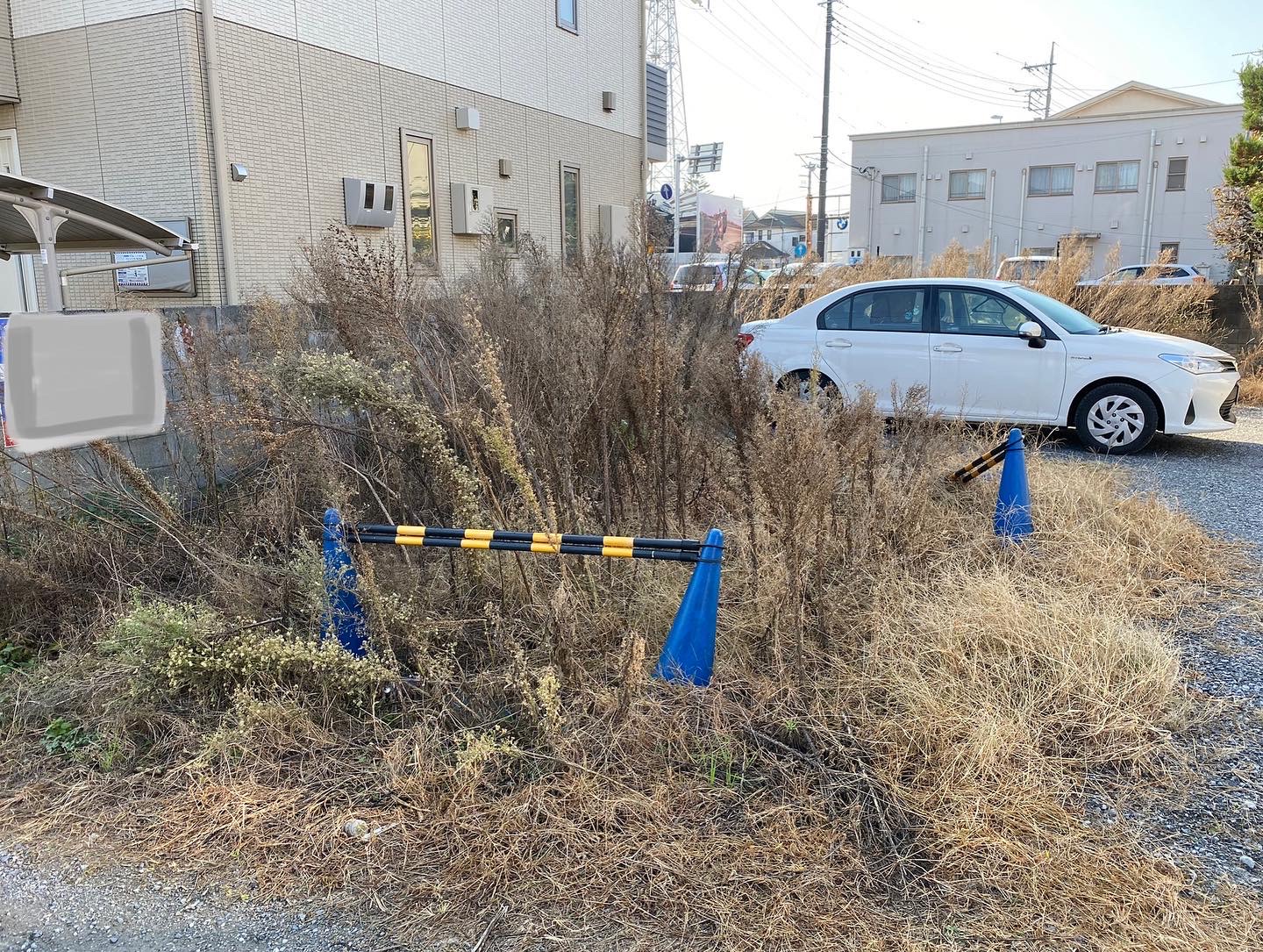 ２月８日　川越市　除草作業報告