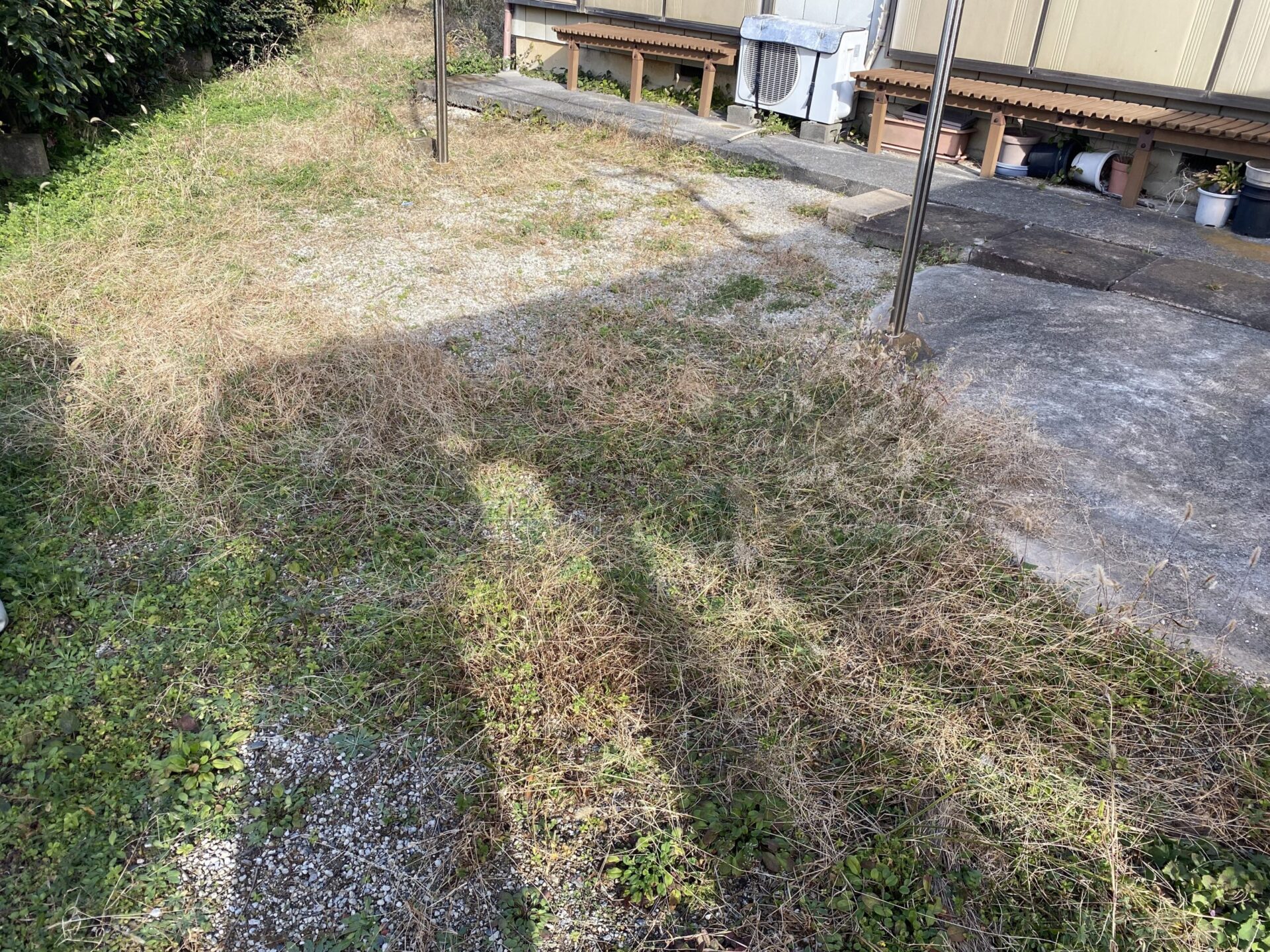 ２月７日　ふじみ野市　剪定除草作業報告