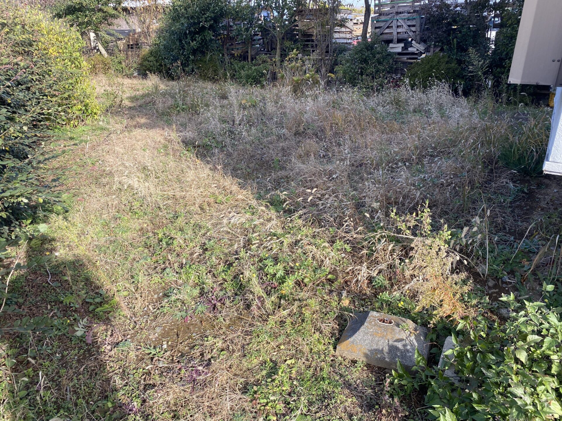 2月9日 ふじみ野市 生垣剪定除草作業報告