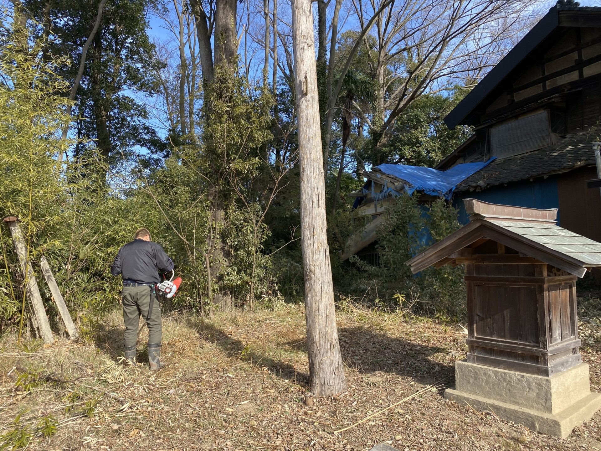 ２月５日　川越市　剪定・伐採・除草作業報告