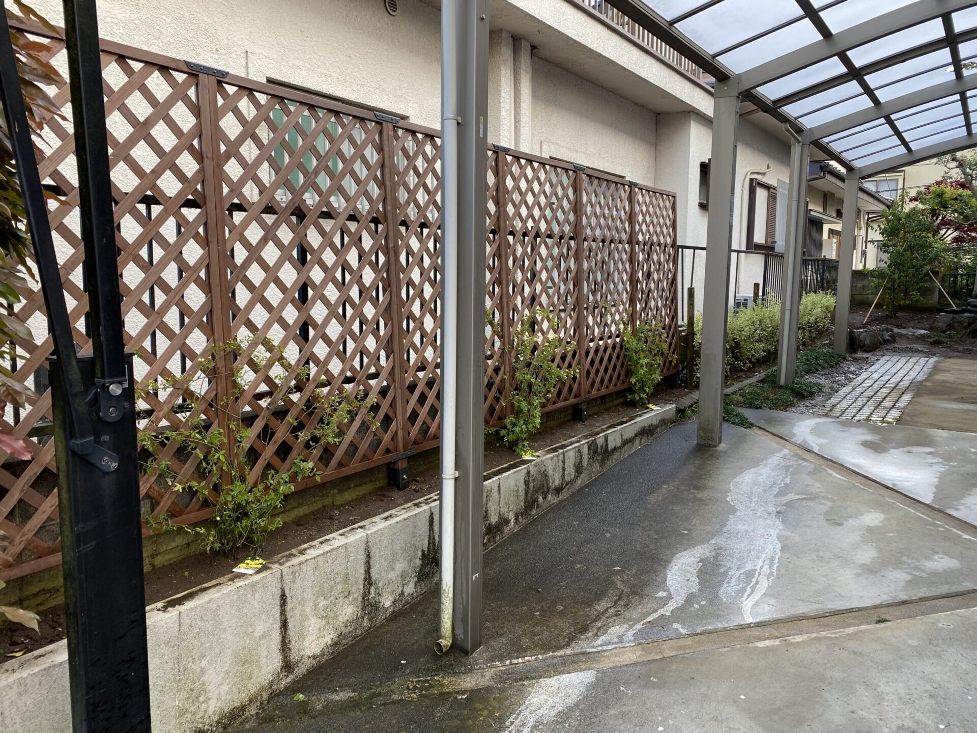 ３月８日　川越市　植栽作業報告