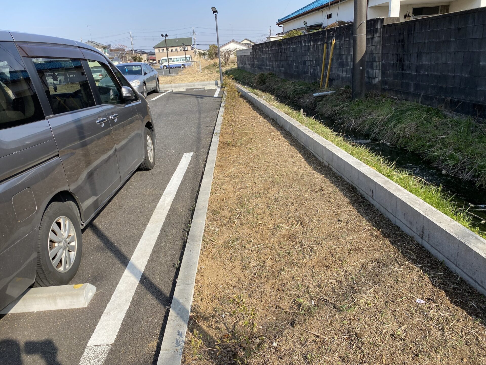 ３月１０日　川越市　除草作業報告