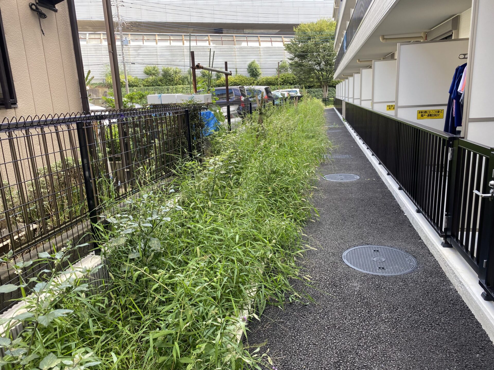 4月26日 川越市 雑草除草作業報告