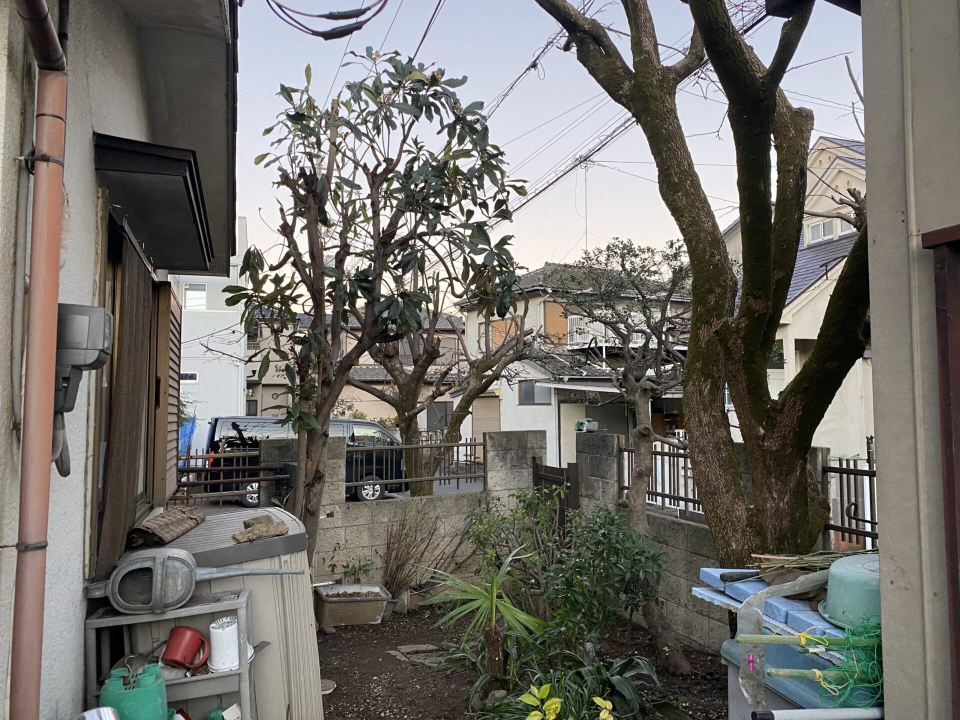 ４月２日　川越市　剪定作業報告