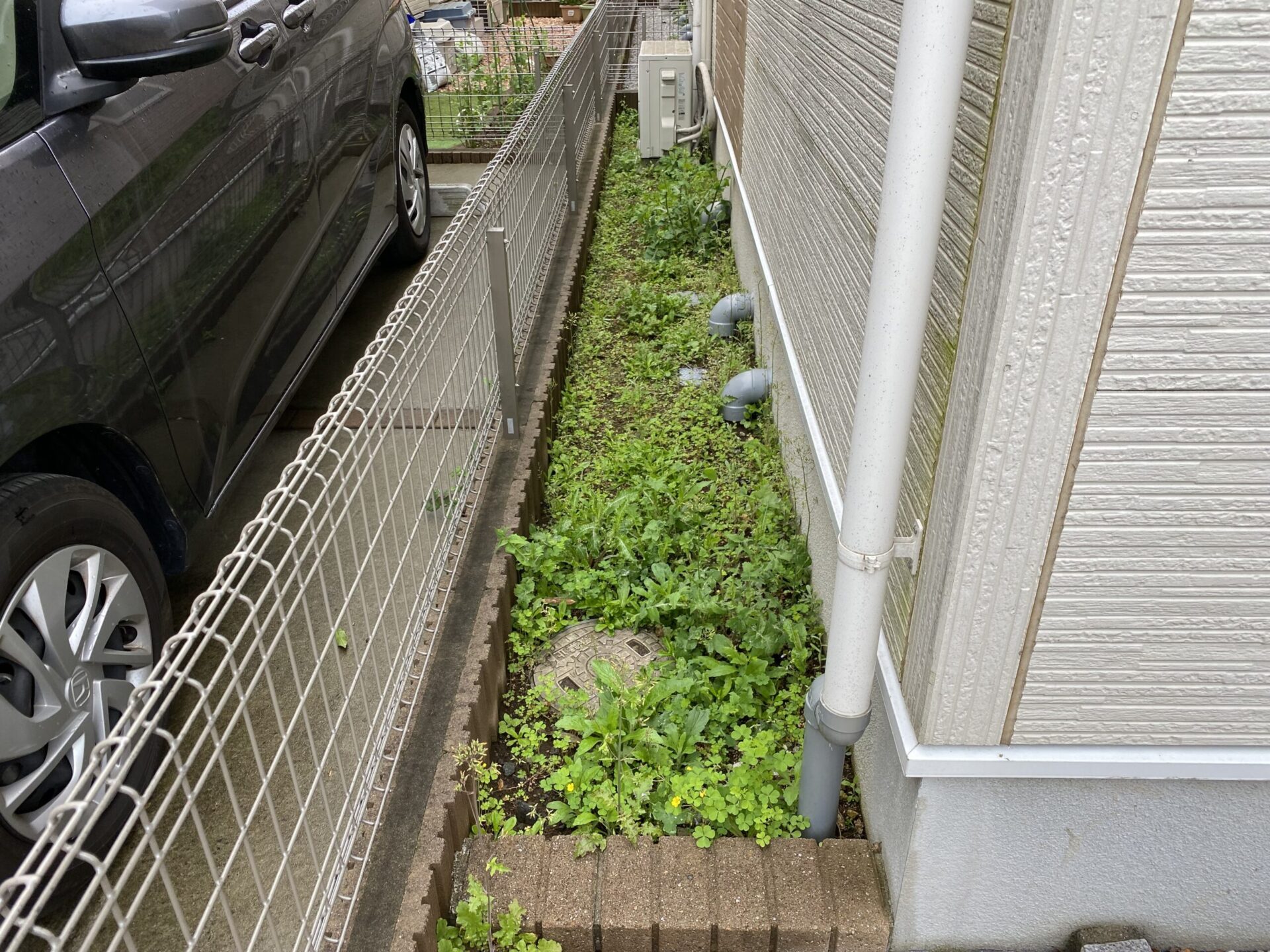4月27日 川越市 除草作業報告