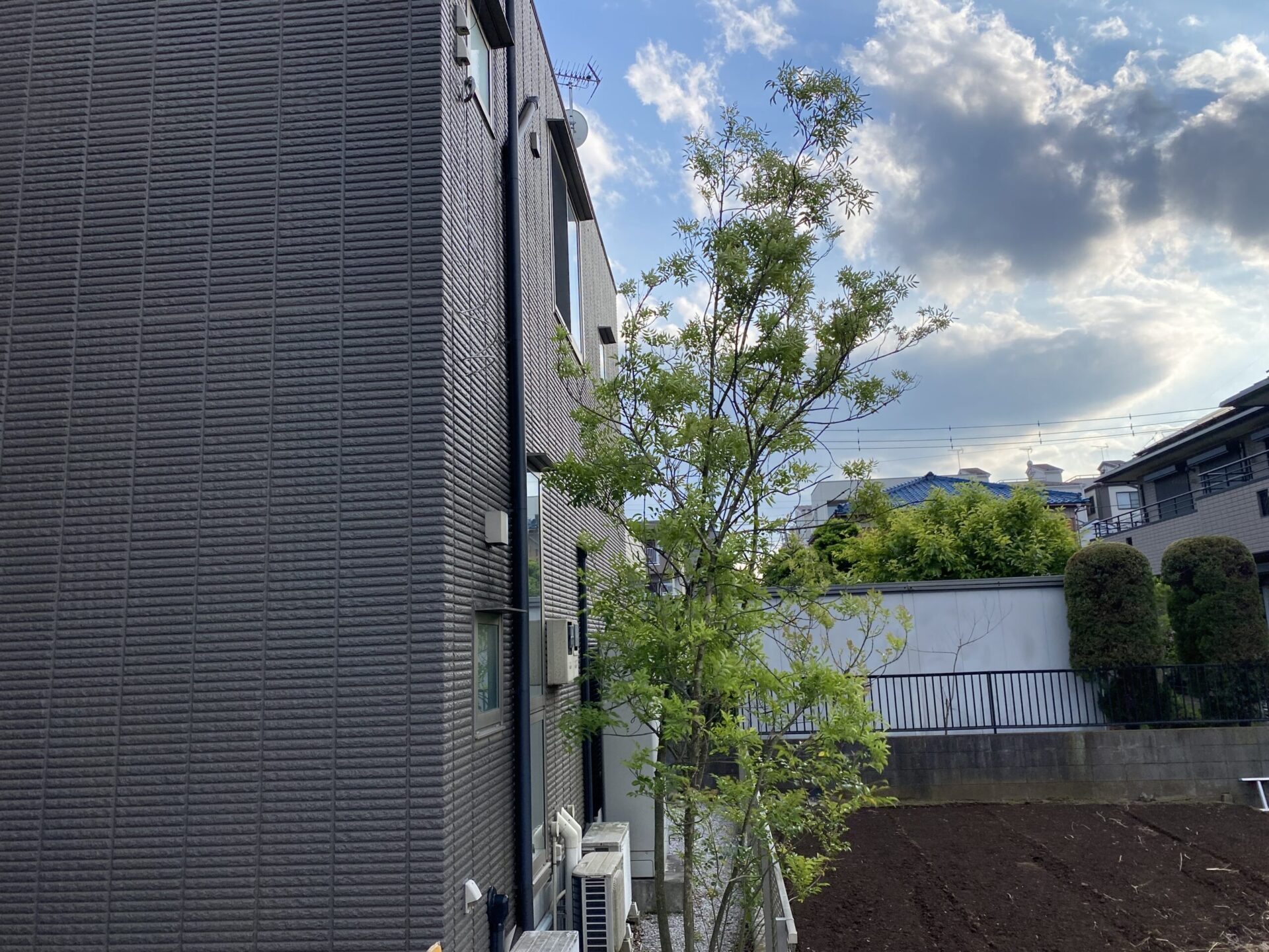 ５月２７日　ふじみ野市　剪定作業報告