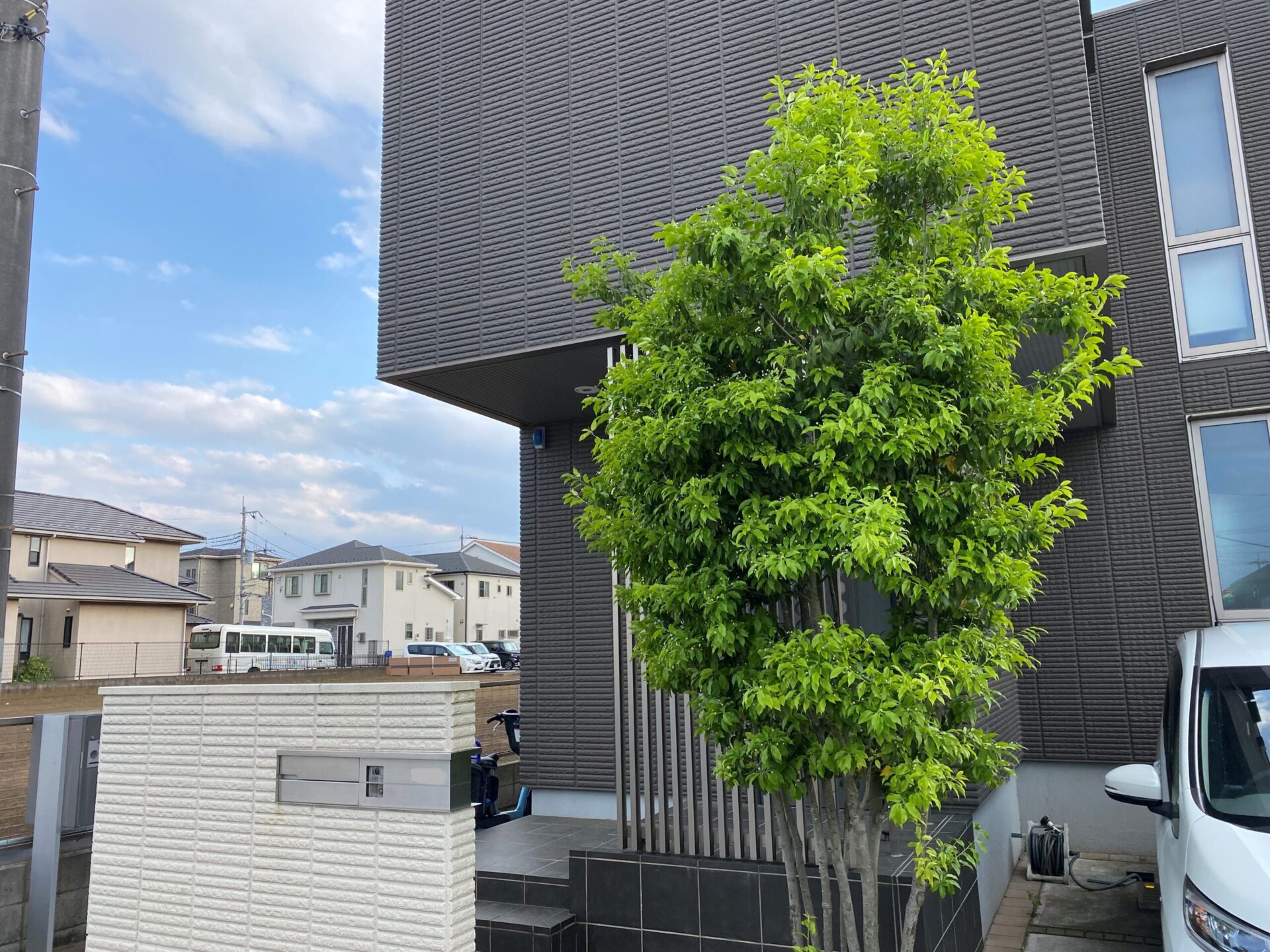 ５月２５日　川越市　剪定　作業報告