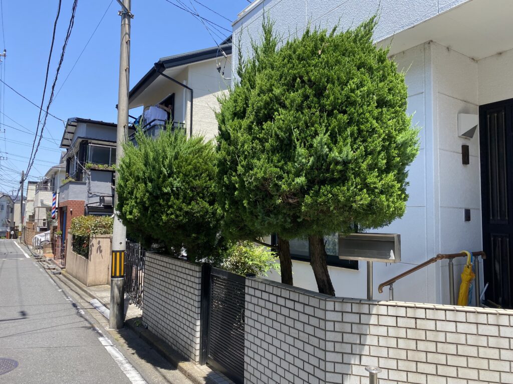５月３０日　ふじみ野市　伐採　作業報告