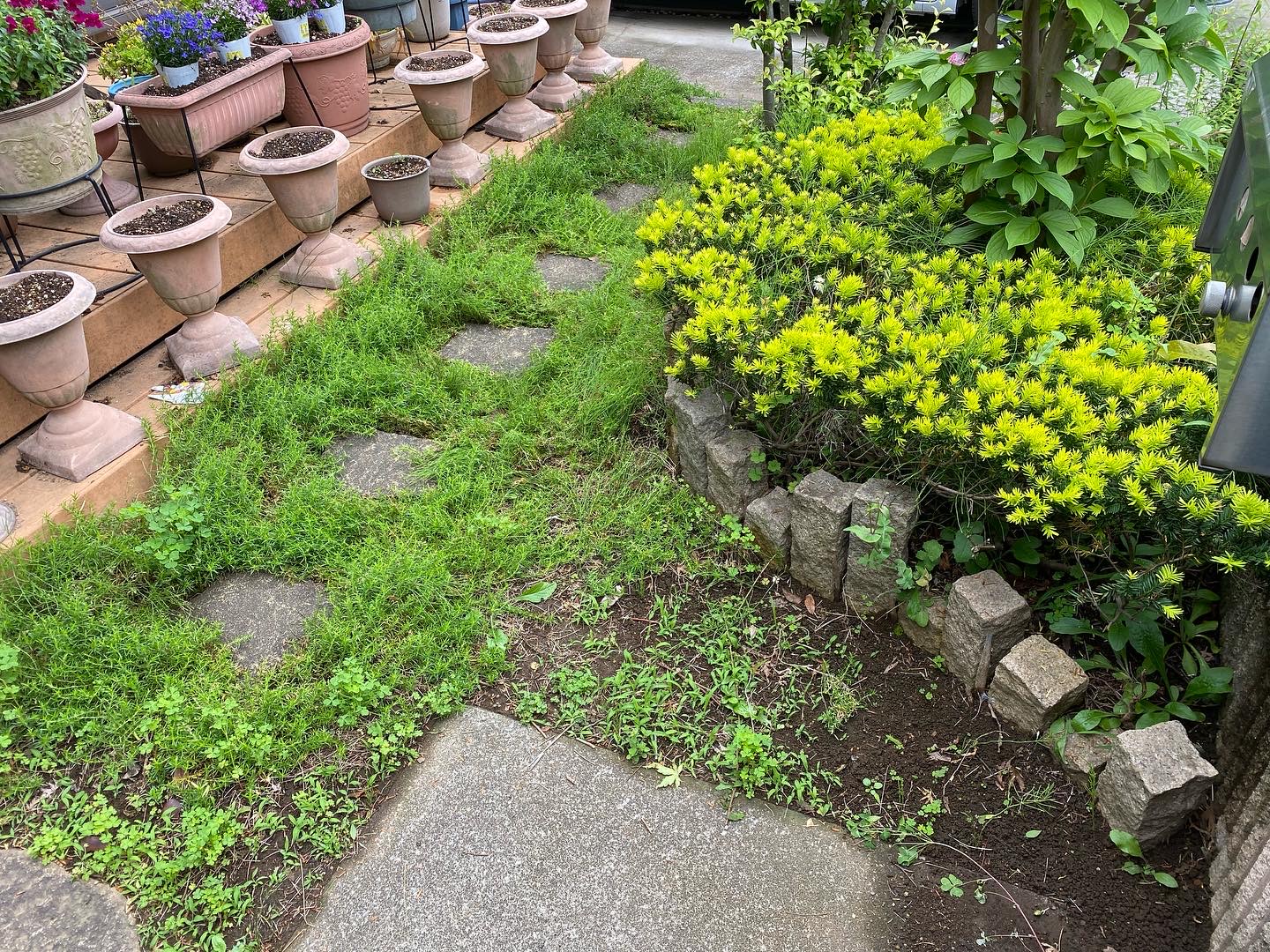 ５月１９日 ふじみ野市 防草シート 作業報告 川越市 ふじみ野市の植木屋 笑庭 えにわ