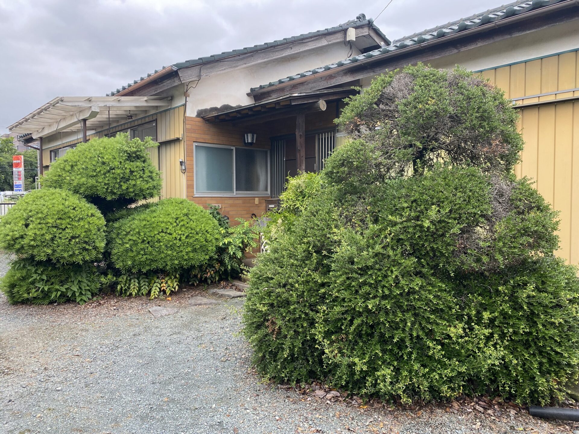6月12日 川越市 伐採 作業報告