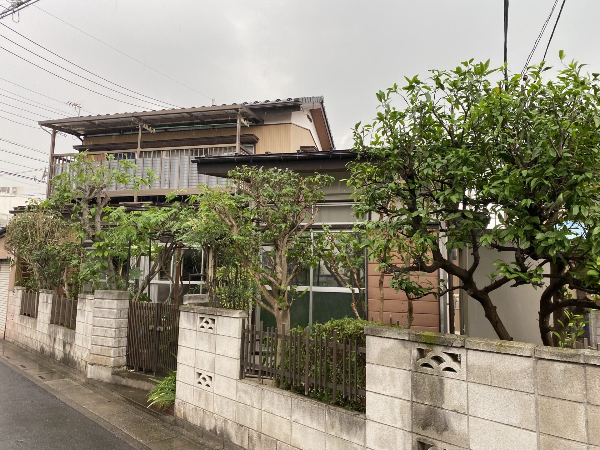 6月17日 川越市 剪定 作業報告