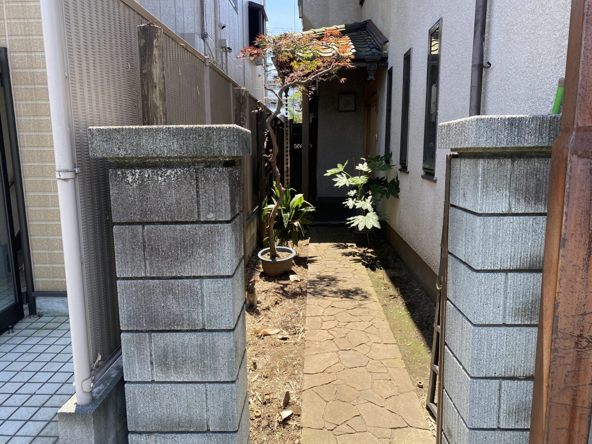 ６月３０日　富士見市　伐採　作業報告