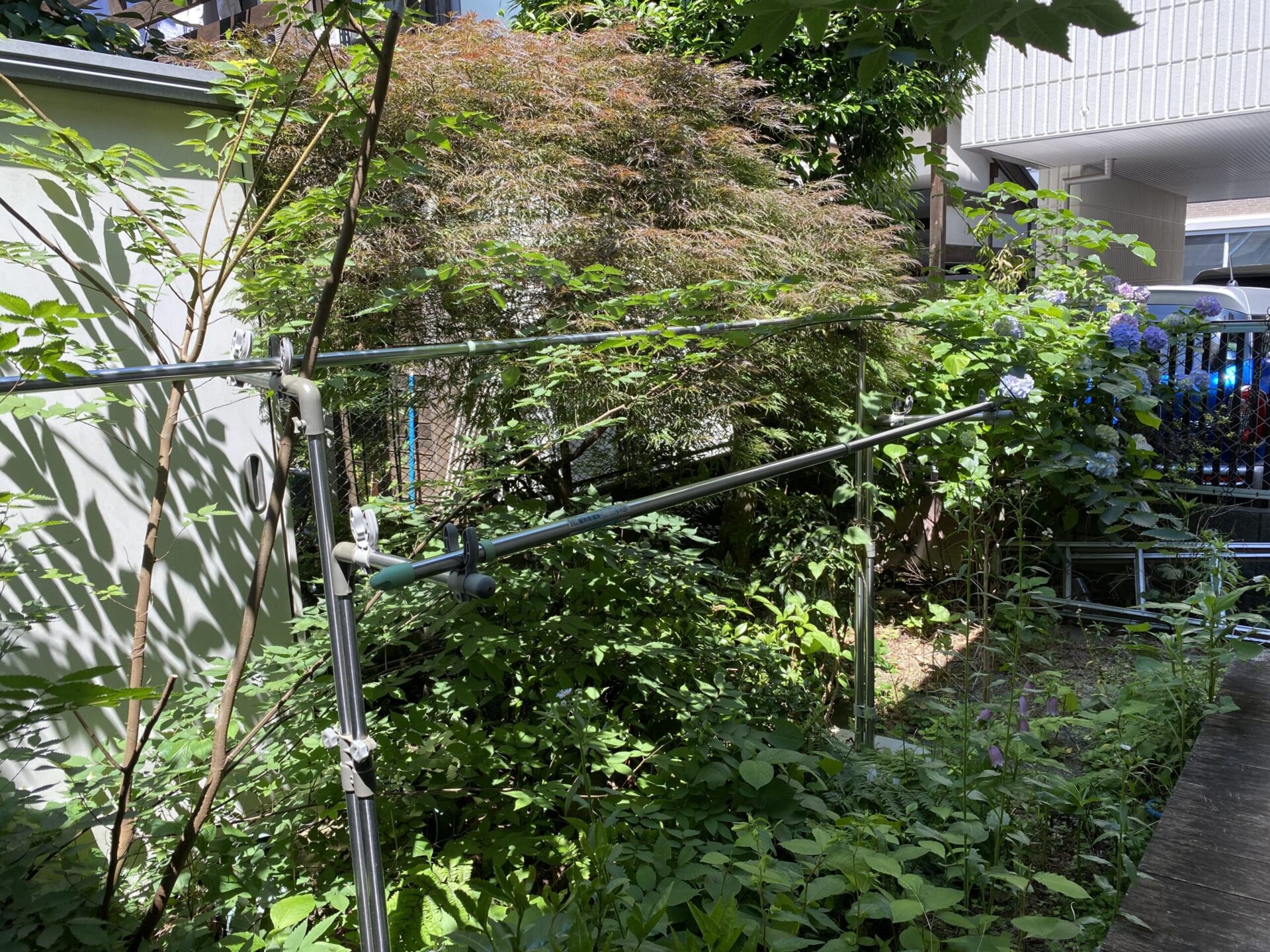 6月16日 狭山市 剪定 作業報告