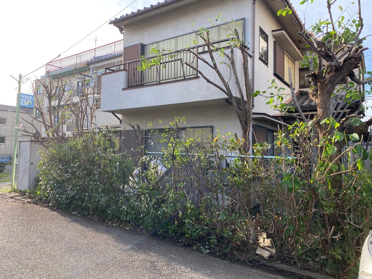 ６月２５日　川越市　剪定　作業報告