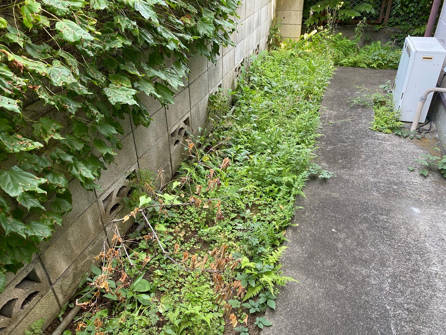 ６月２８日　富士見市　防草シート　作業報告