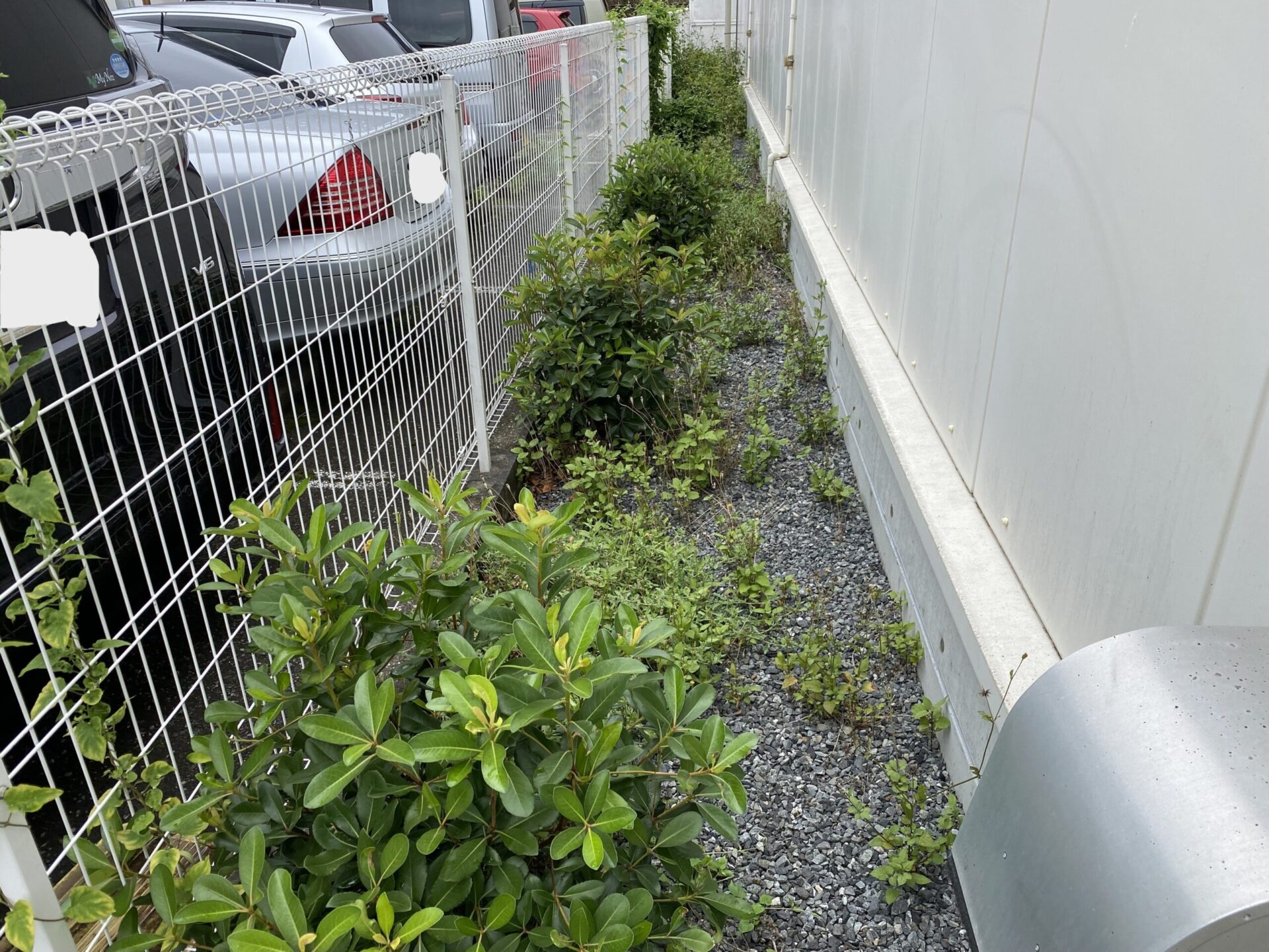 ７月７日　富士見市　除草　作業報告