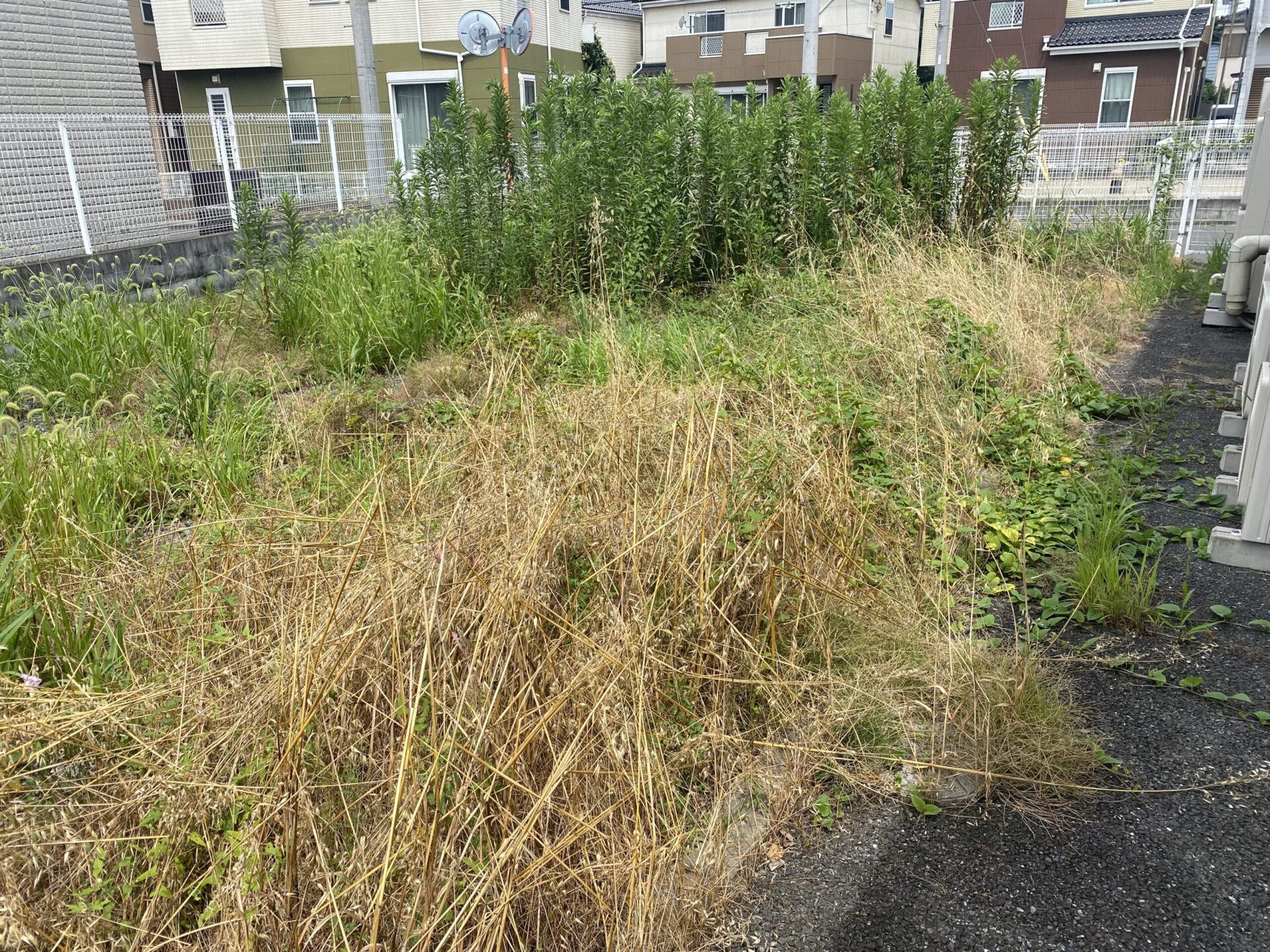 ７月８日　富士見市　除草　作業報告