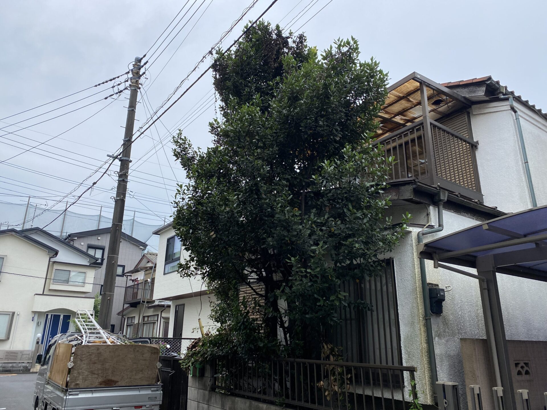 ７月２３日　富士見市　剪定　作業報告