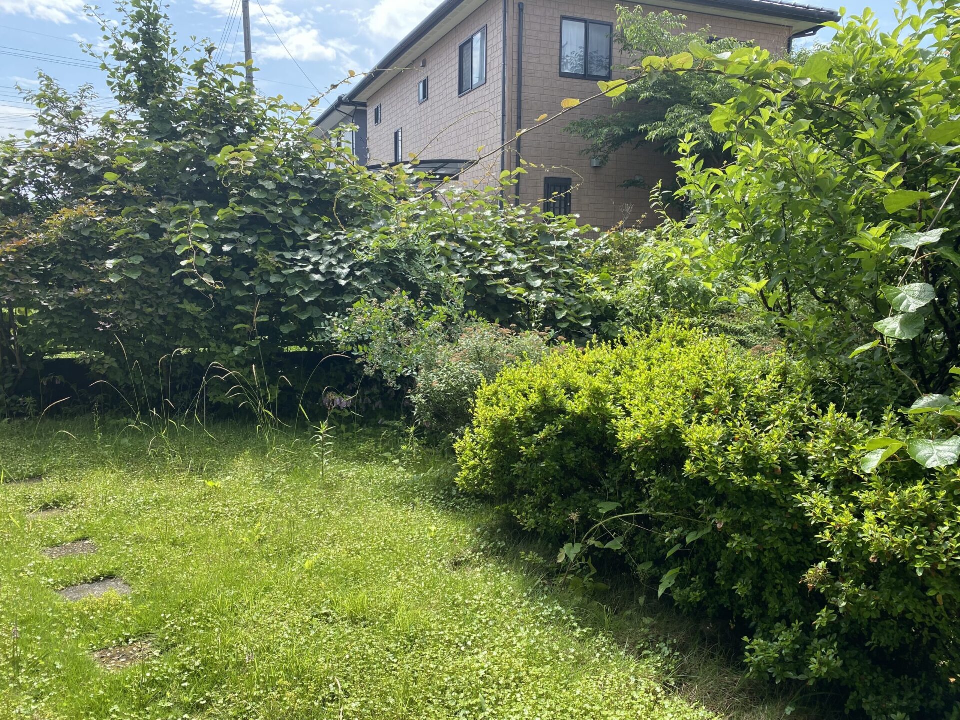 ８月１日　狭山市　伐採　作業報告