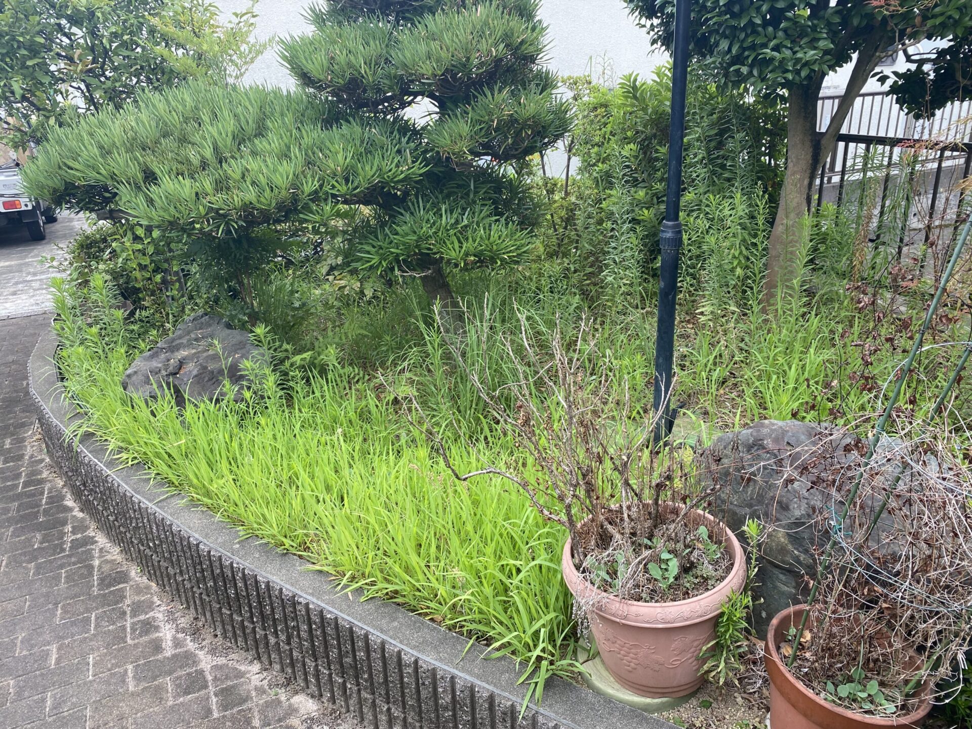 8月10日 富士見市 除草 作業報告