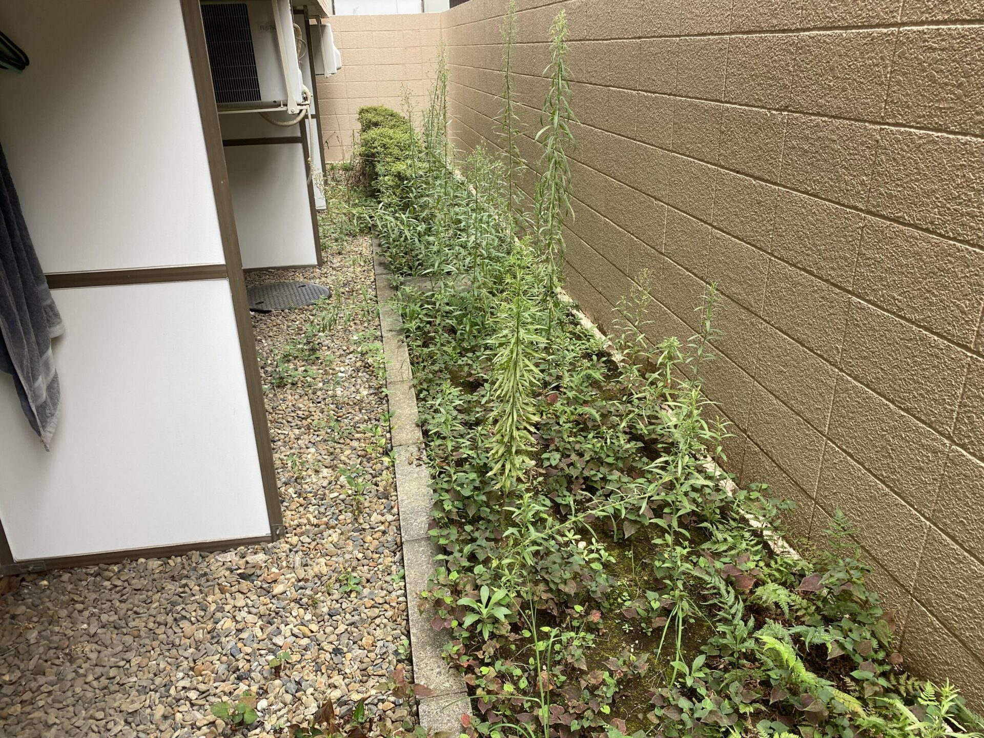 ８月２７日　富士見市　除草　作業報告