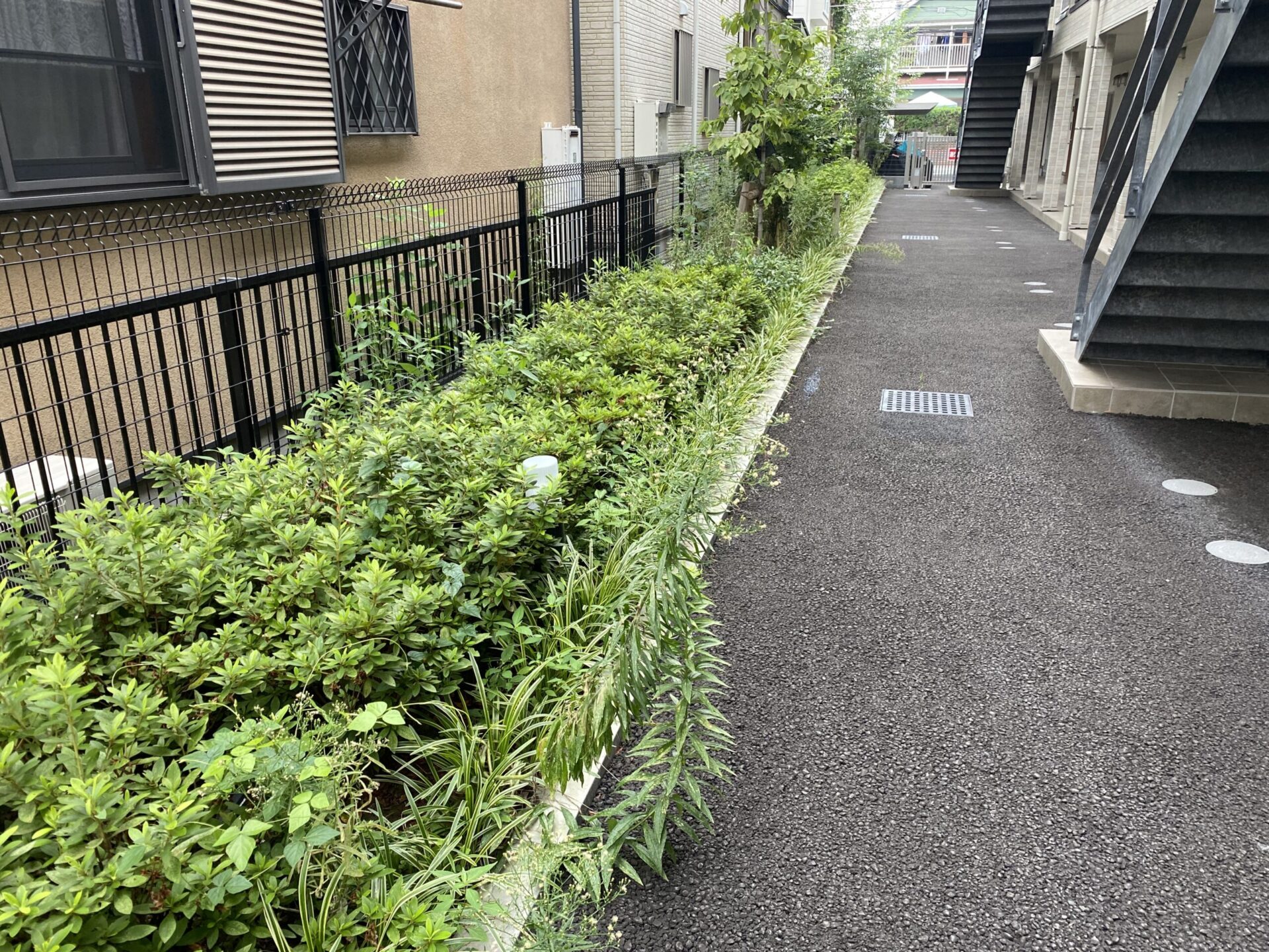９月３日　富士見市　アパート　除草　剪定　作業報告
