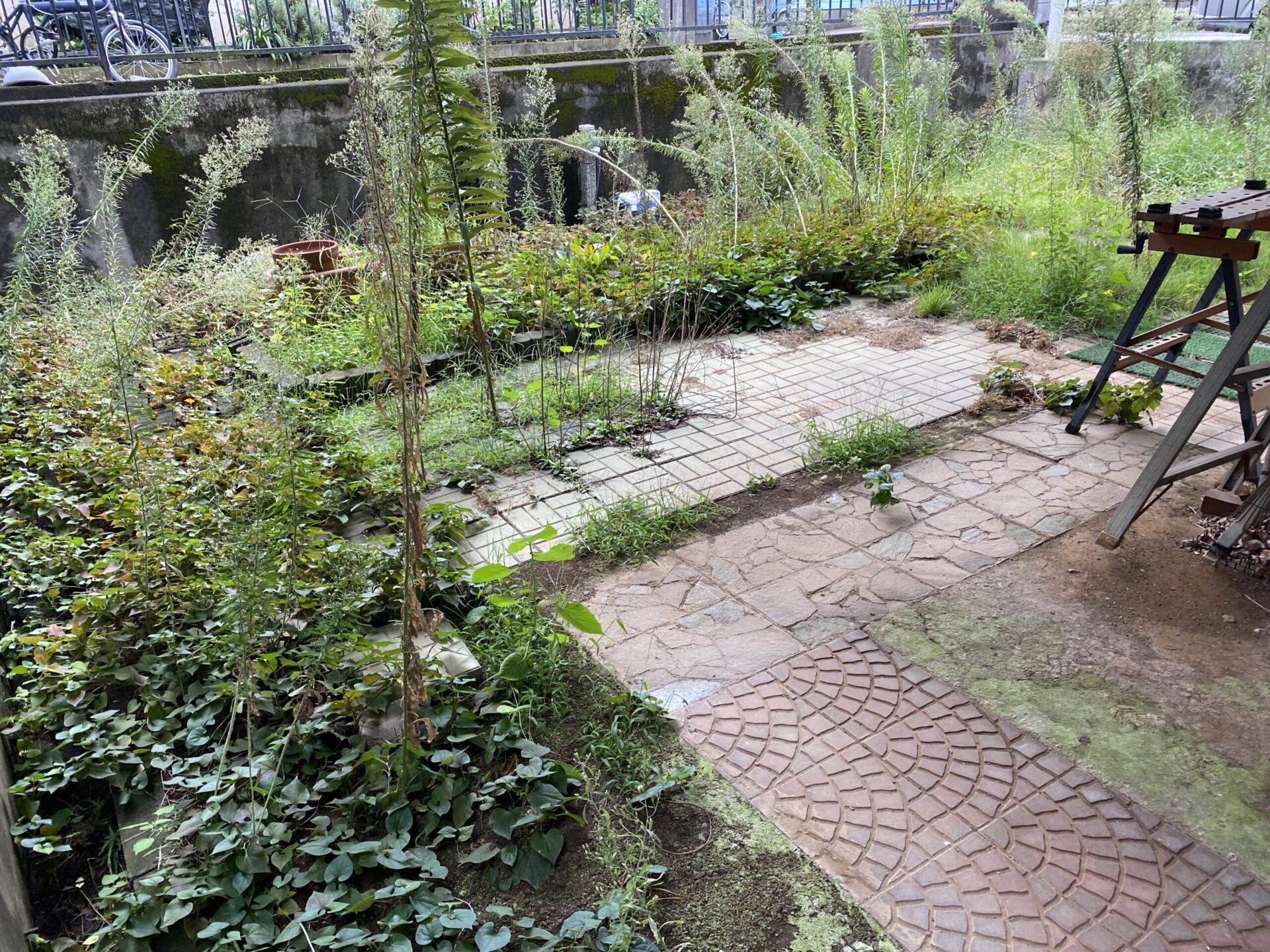 9月26日 富士見市 除草 作業報告
