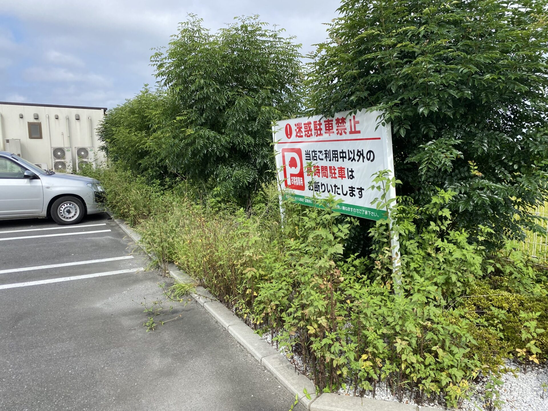 １０月２３日　富士見市　剪定　除草　作業報告