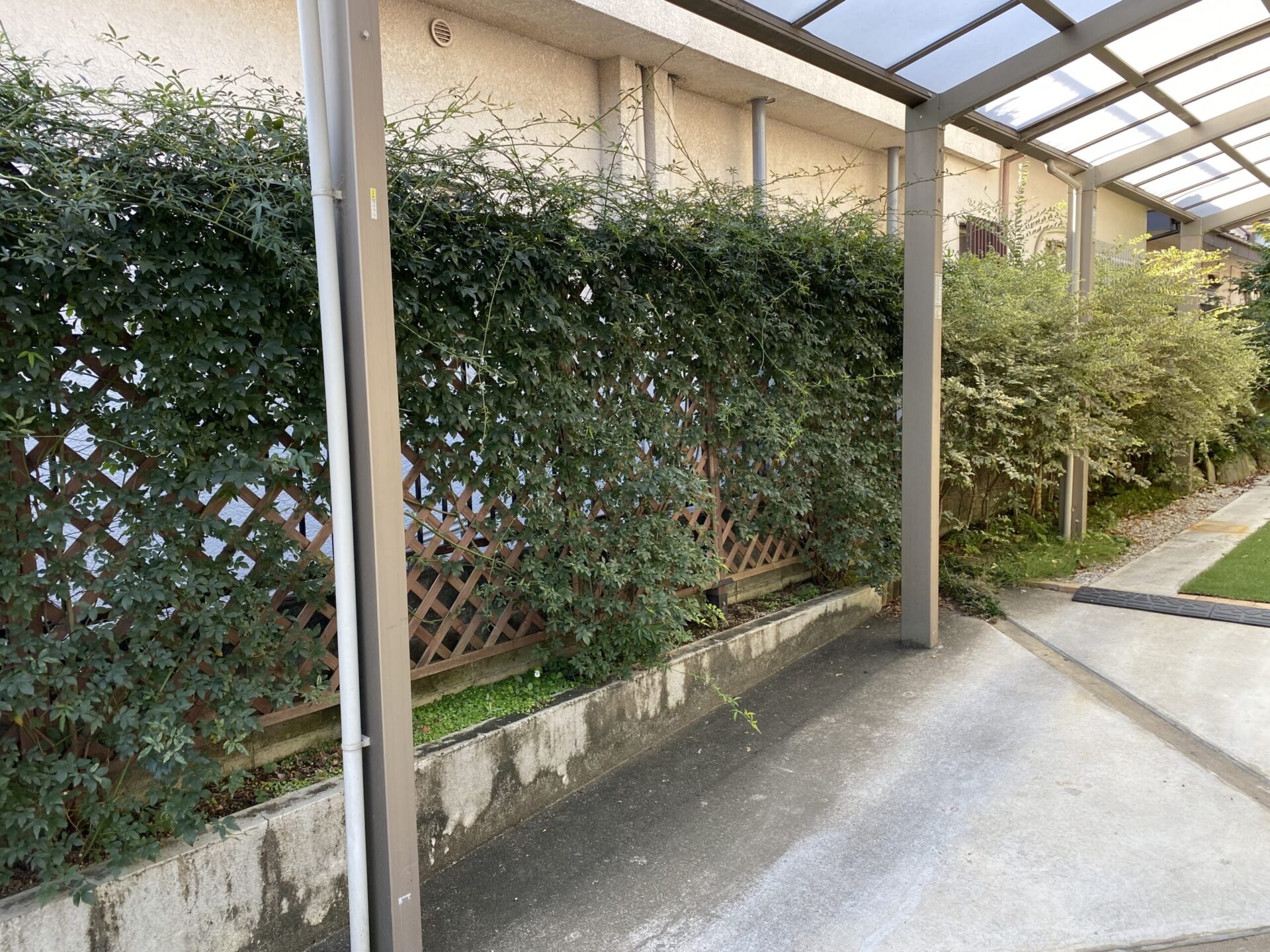 ９月３０日　川越市　剪定　作業報告