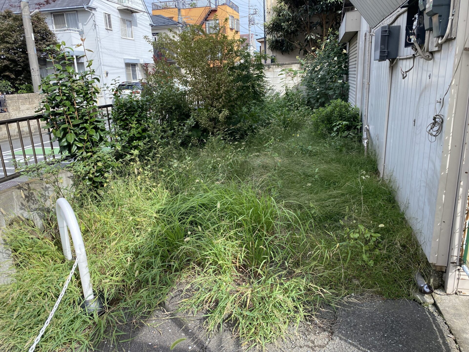 １０月１９日　川越市　剪定　除草　作業報告