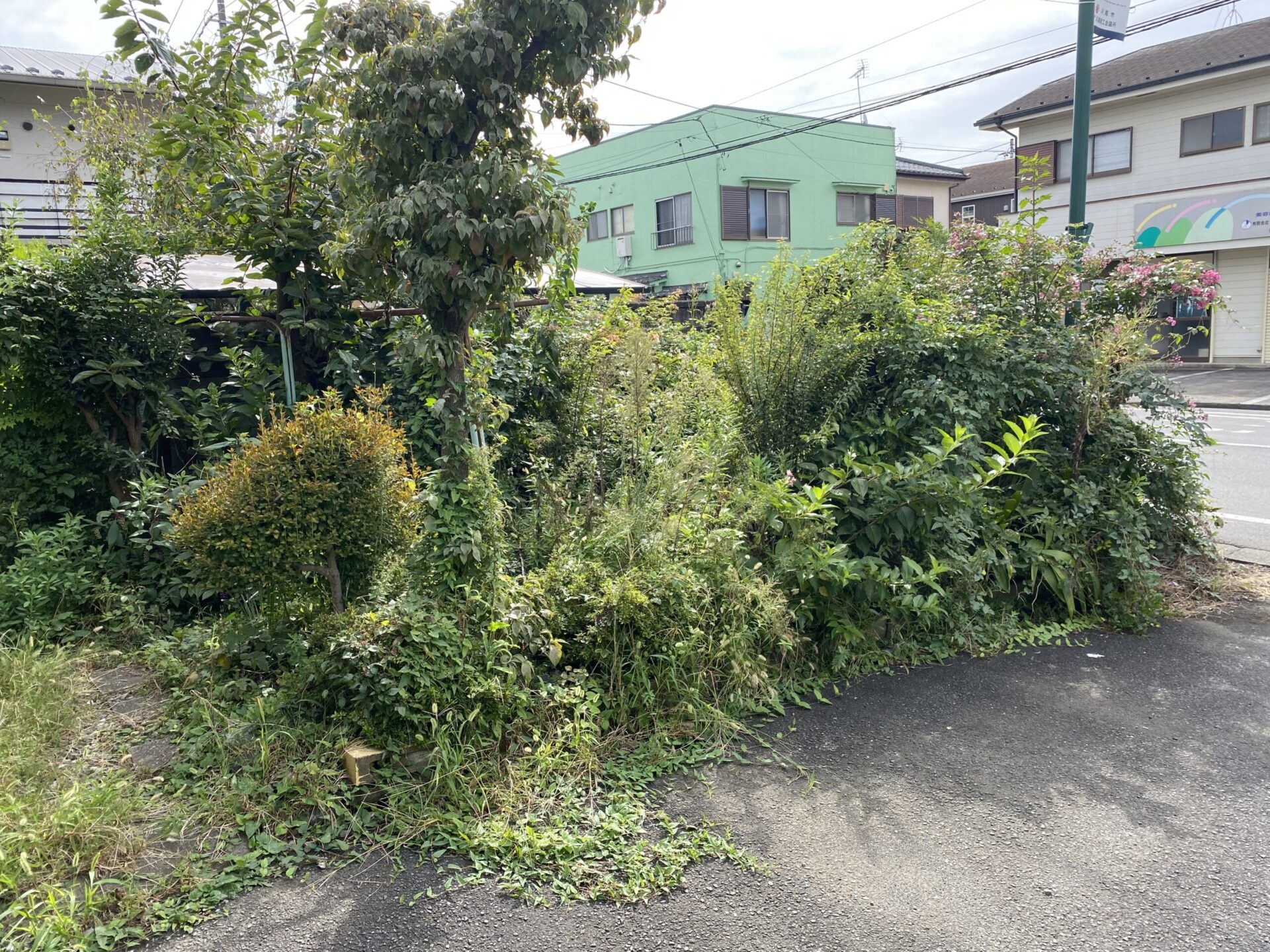 １０月２２日　川越市　剪定　除草　作業報告