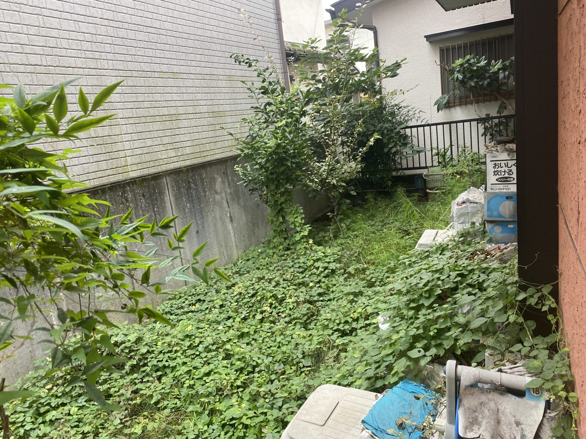 １０月１７日　ふじみ野市　剪定　除草　作業報告