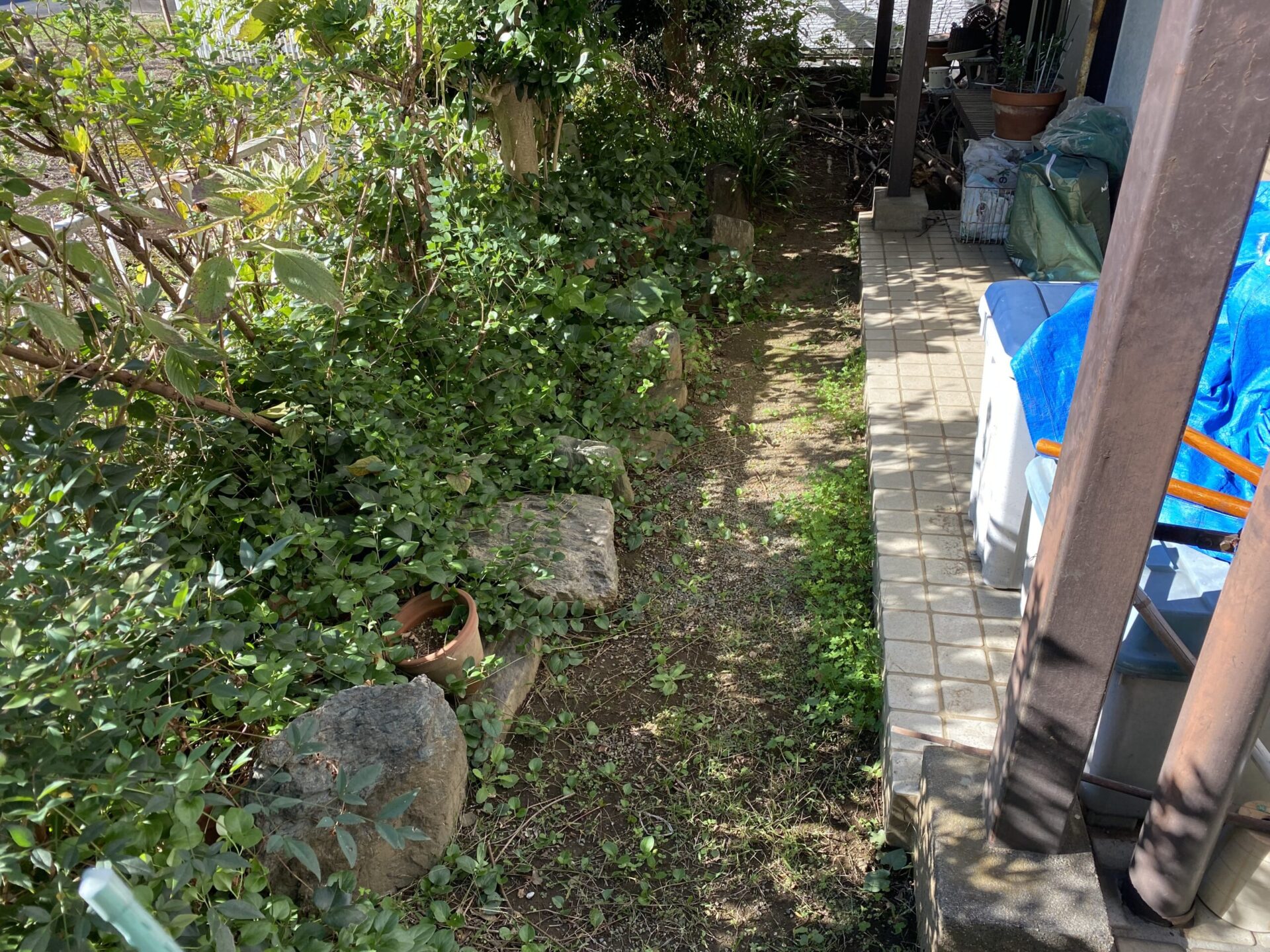 １０月２７日　富士見市　除草　作業報告