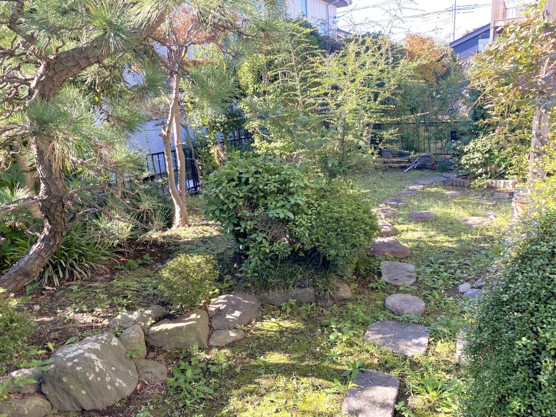 11月16日 川越市 剪定 除草 作業報告