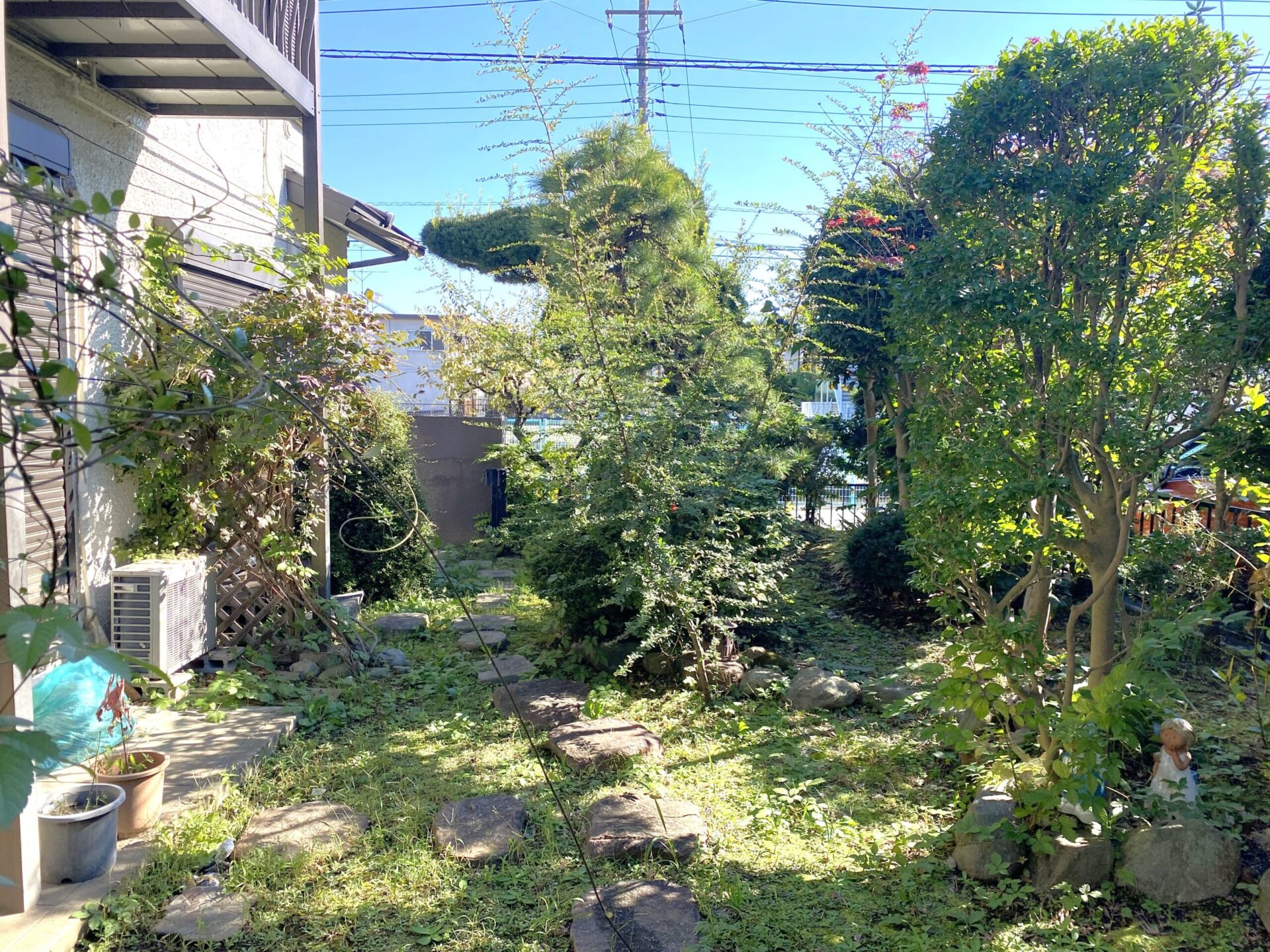 11月6日 川越市 剪定 作業報告
