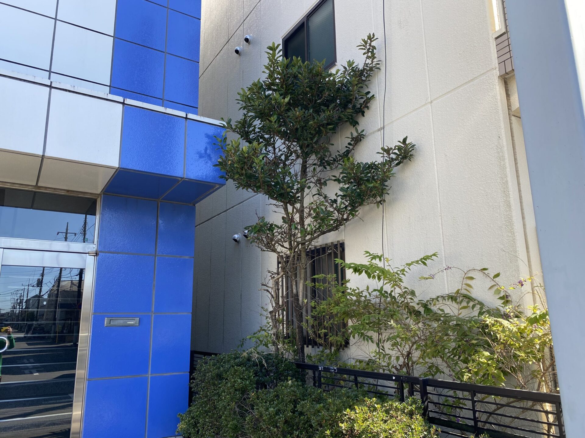 10月31日 川越市 伐採 作業報告