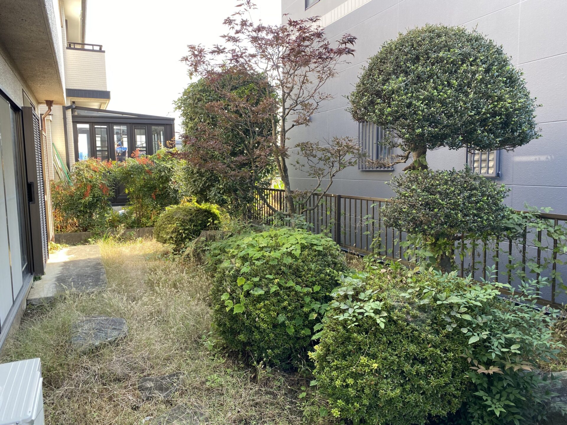 11月8日 川越市 剪定 除草 作業報告