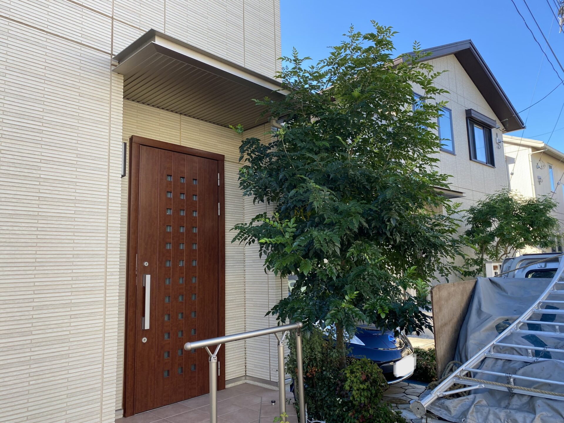 11月19日 富士見市 剪定 作業報告