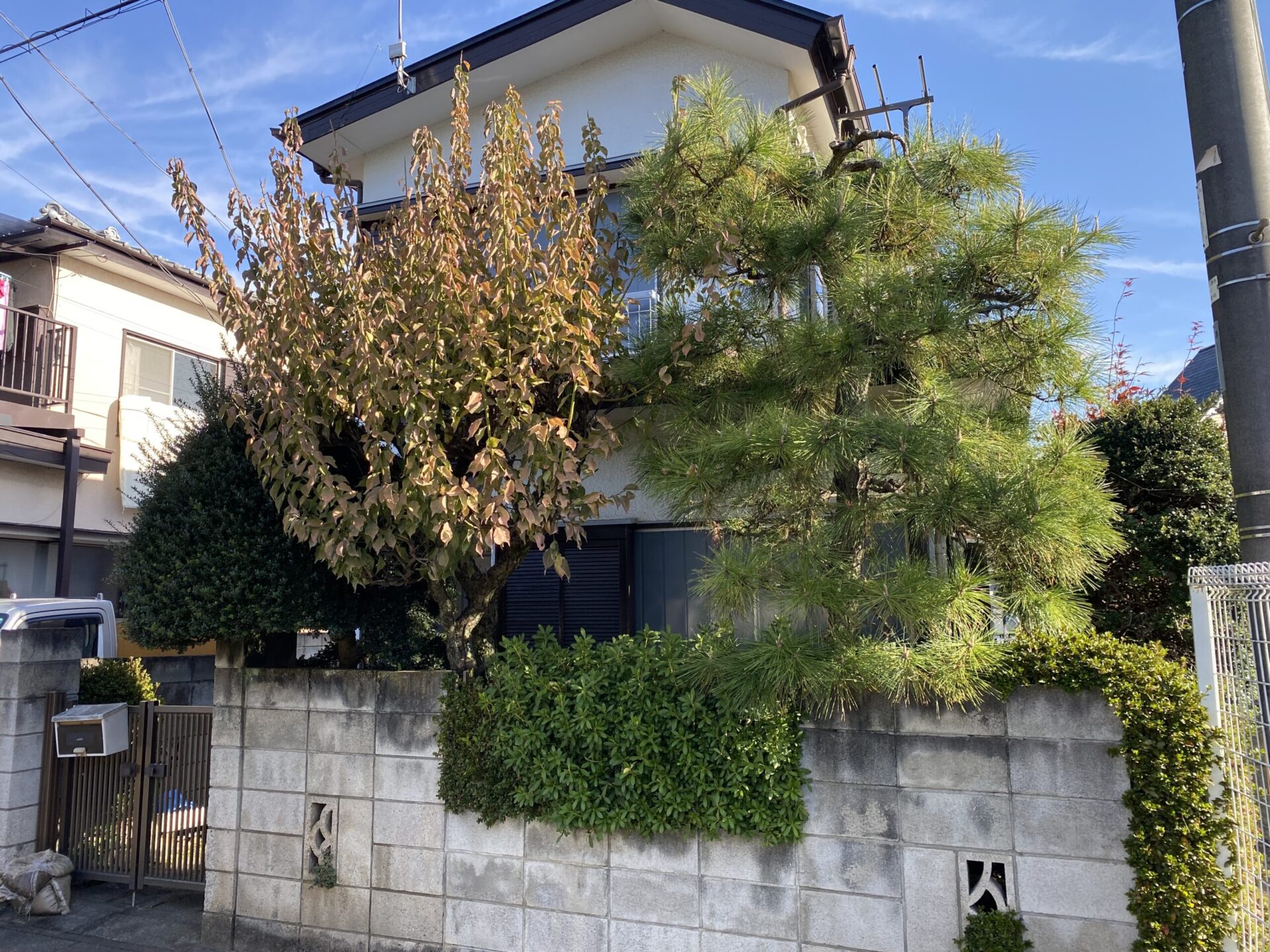 11月27日 ふじみ野市 剪定 作業報告