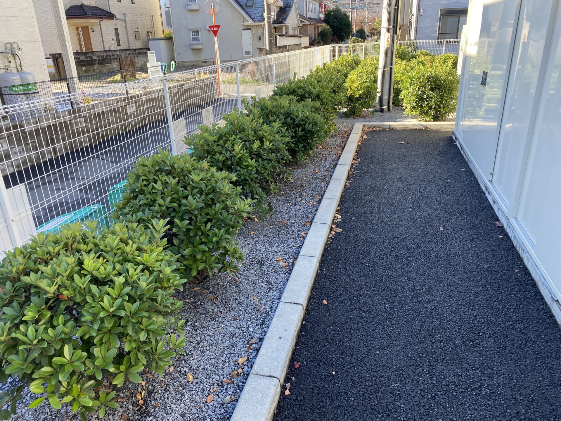 11月24日 富士見市 剪定 作業報告