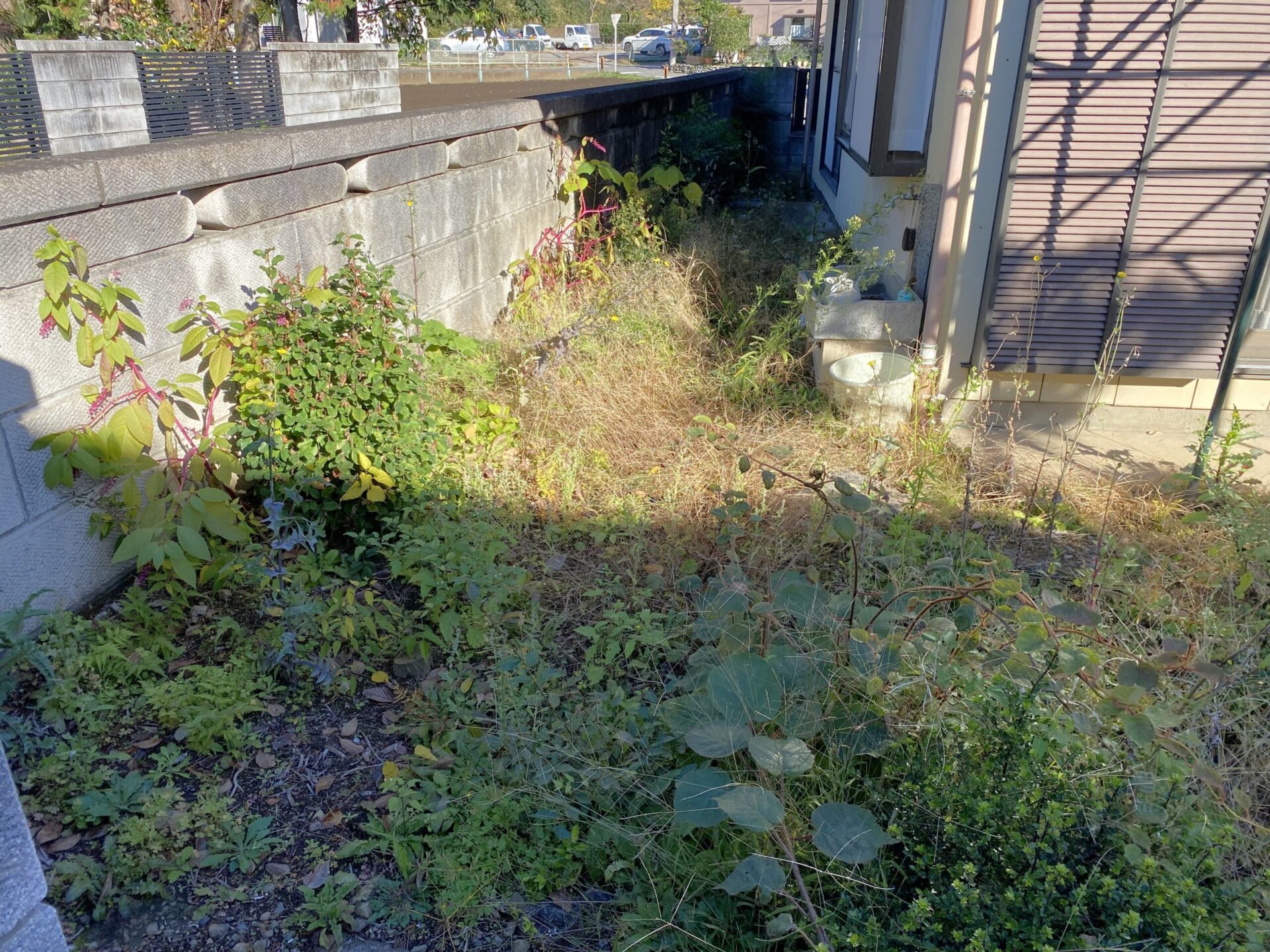 11月26日 狭山市 除草 作業報告