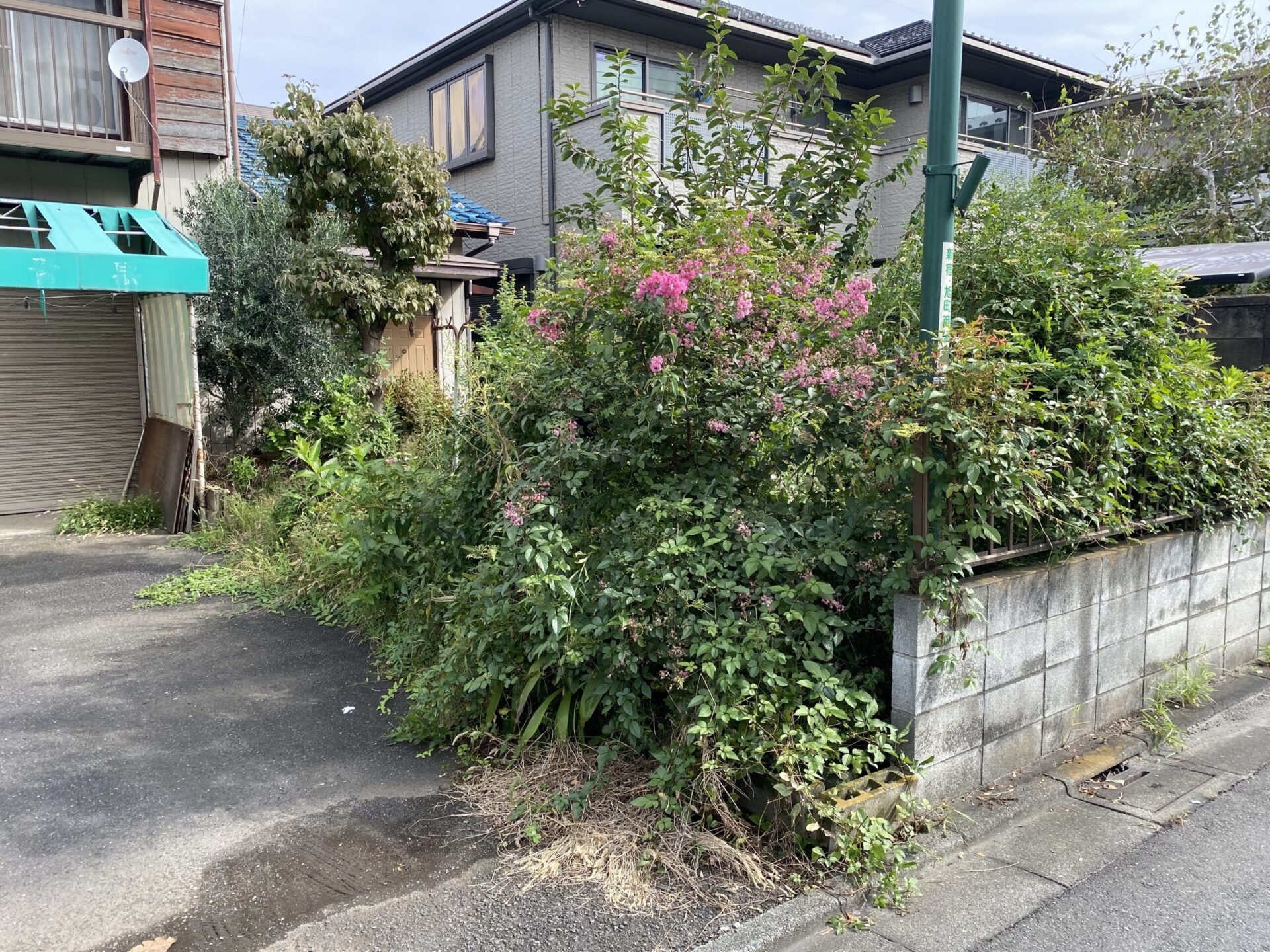 １１月３０日　川越市　剪定　除草　作業報告