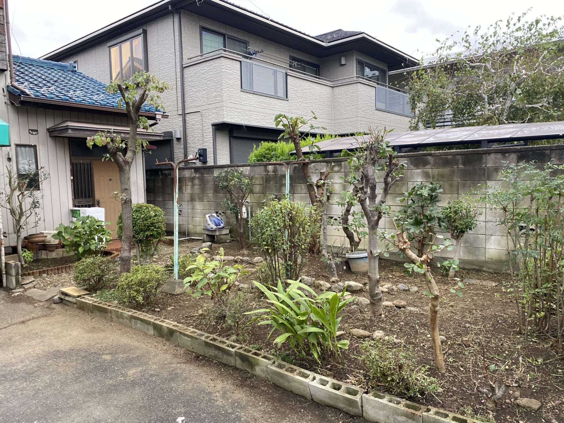 １２月１日　川越市　剪定　除草　作業報告