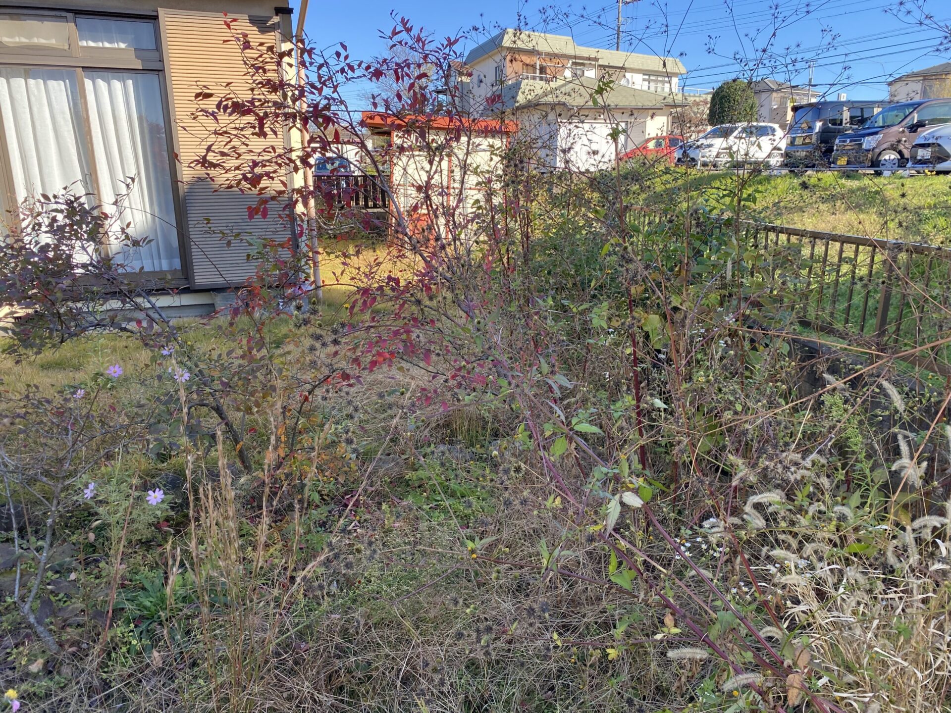 １２月３日　狭山市　除草　作業報告