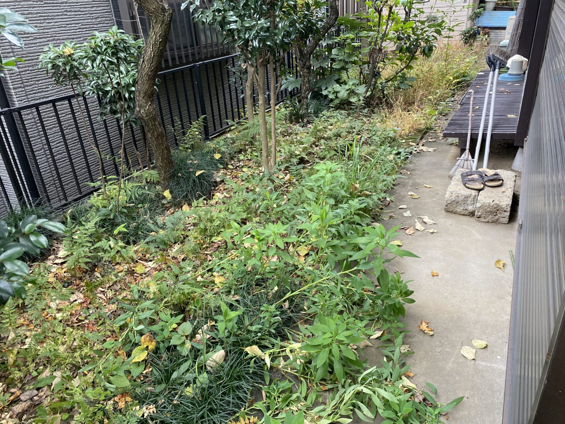 １２月４日　富士見市　剪定　除草　作業報告