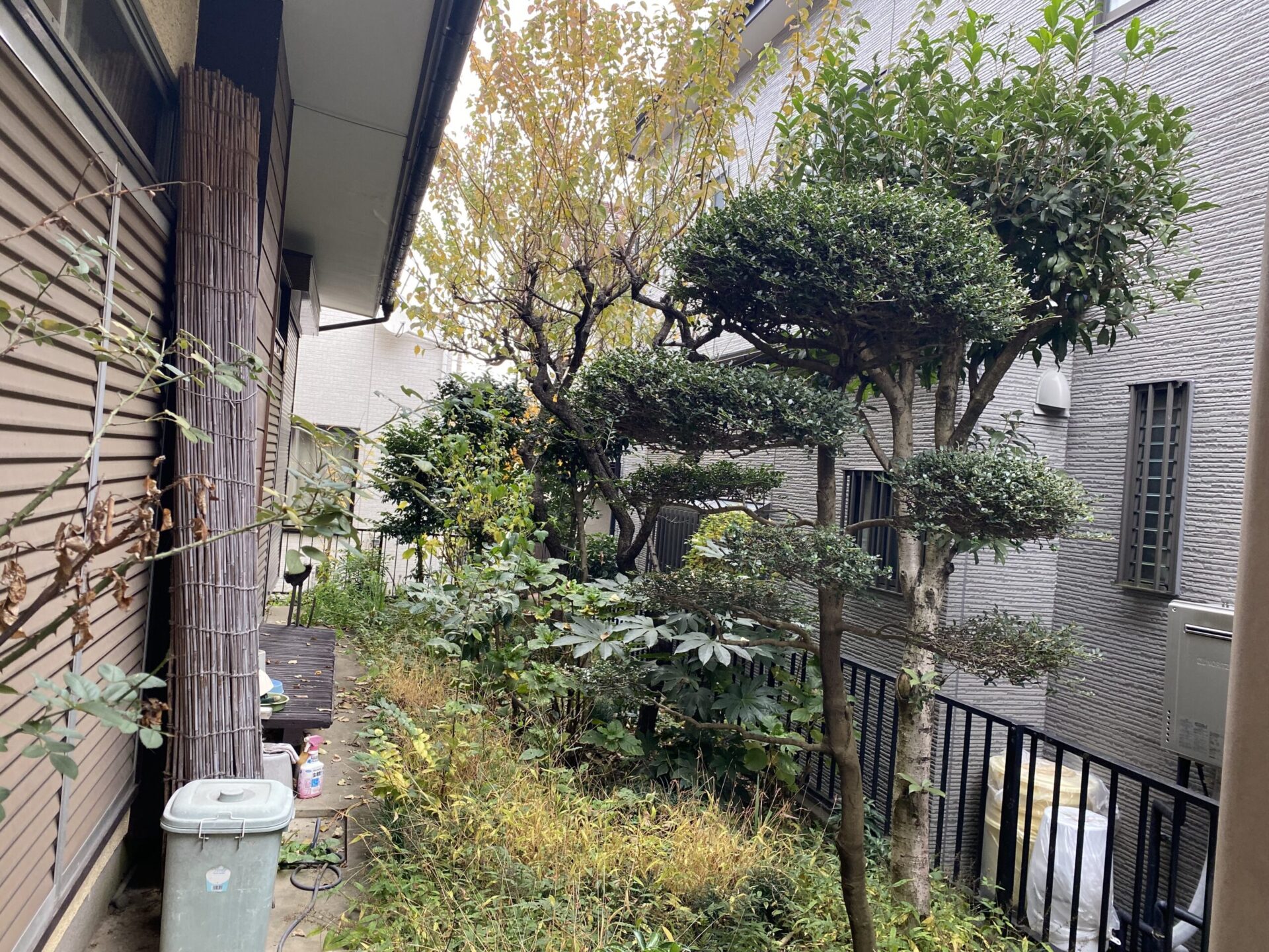 １２月６日　富士見市　剪定　除草　作業報告