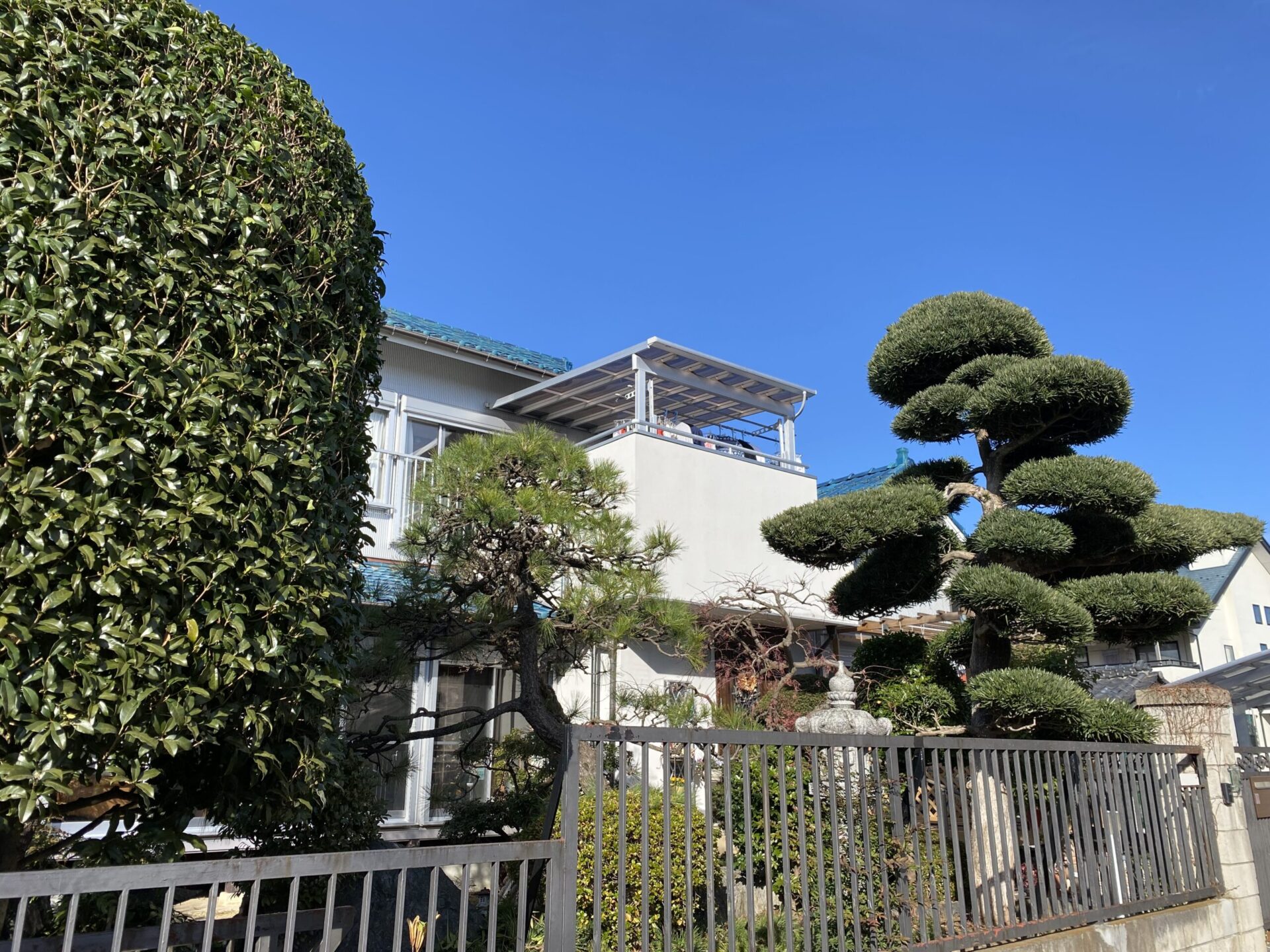１２月３０日　さいたま市　剪定　作業報告