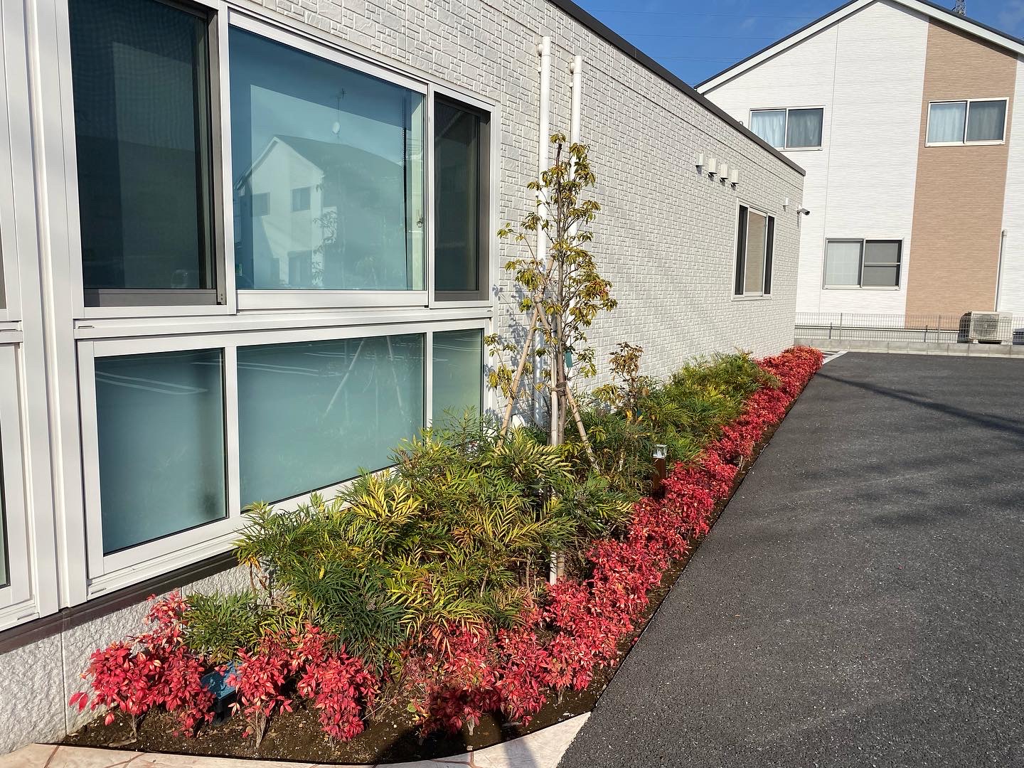 12月11日 さいたま市 植栽 確認作業報告