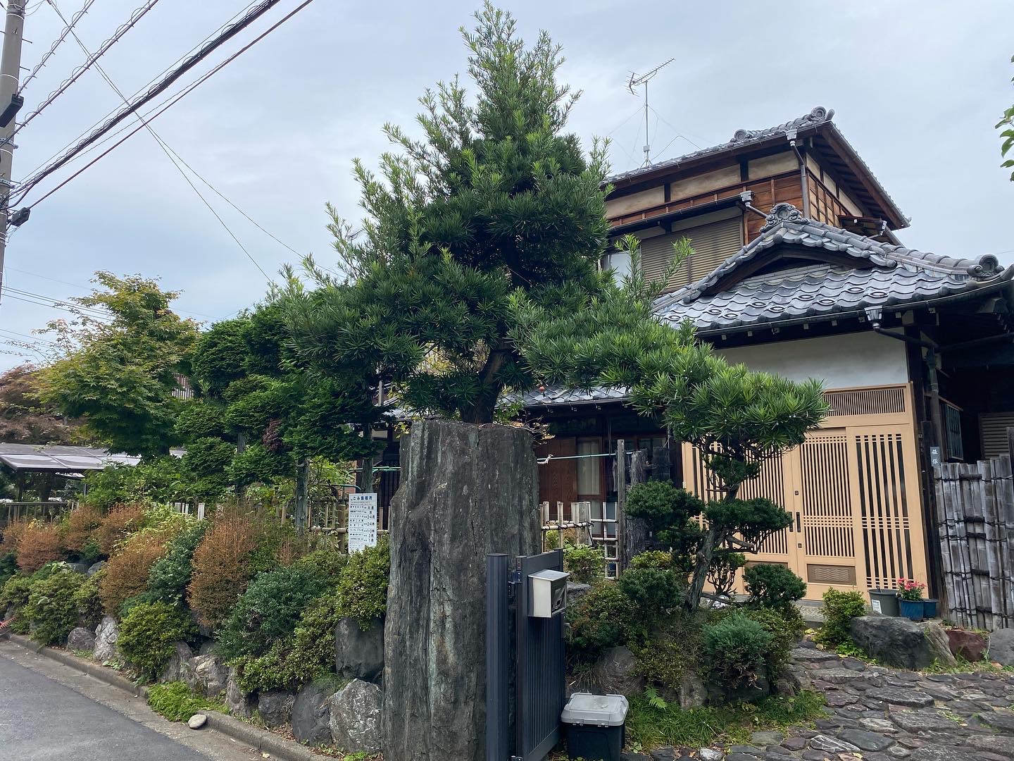 12月29日 川越市 剪定 作業報告