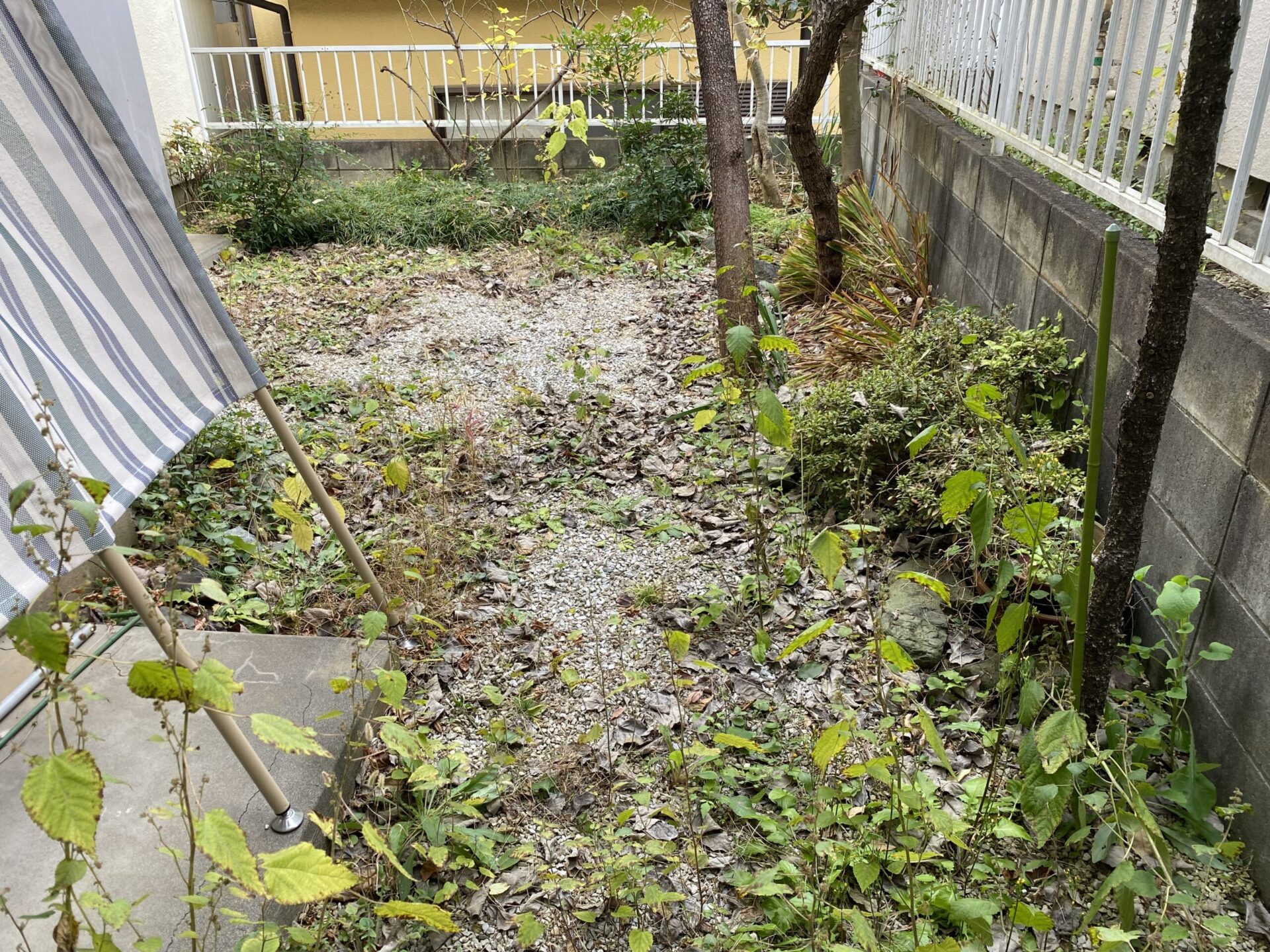 １月７日　狭山市　除草　作業報告